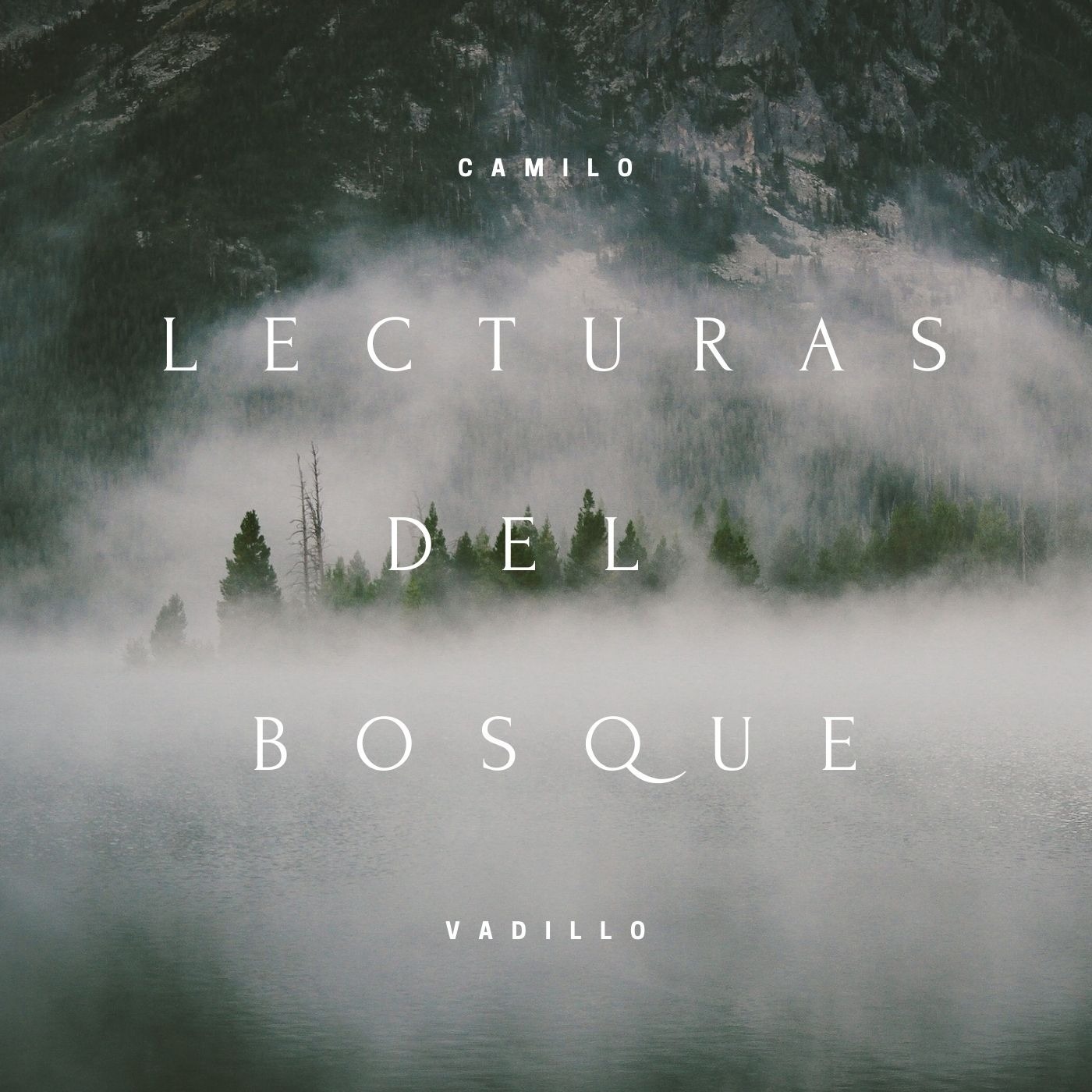Lecturas del Bosque