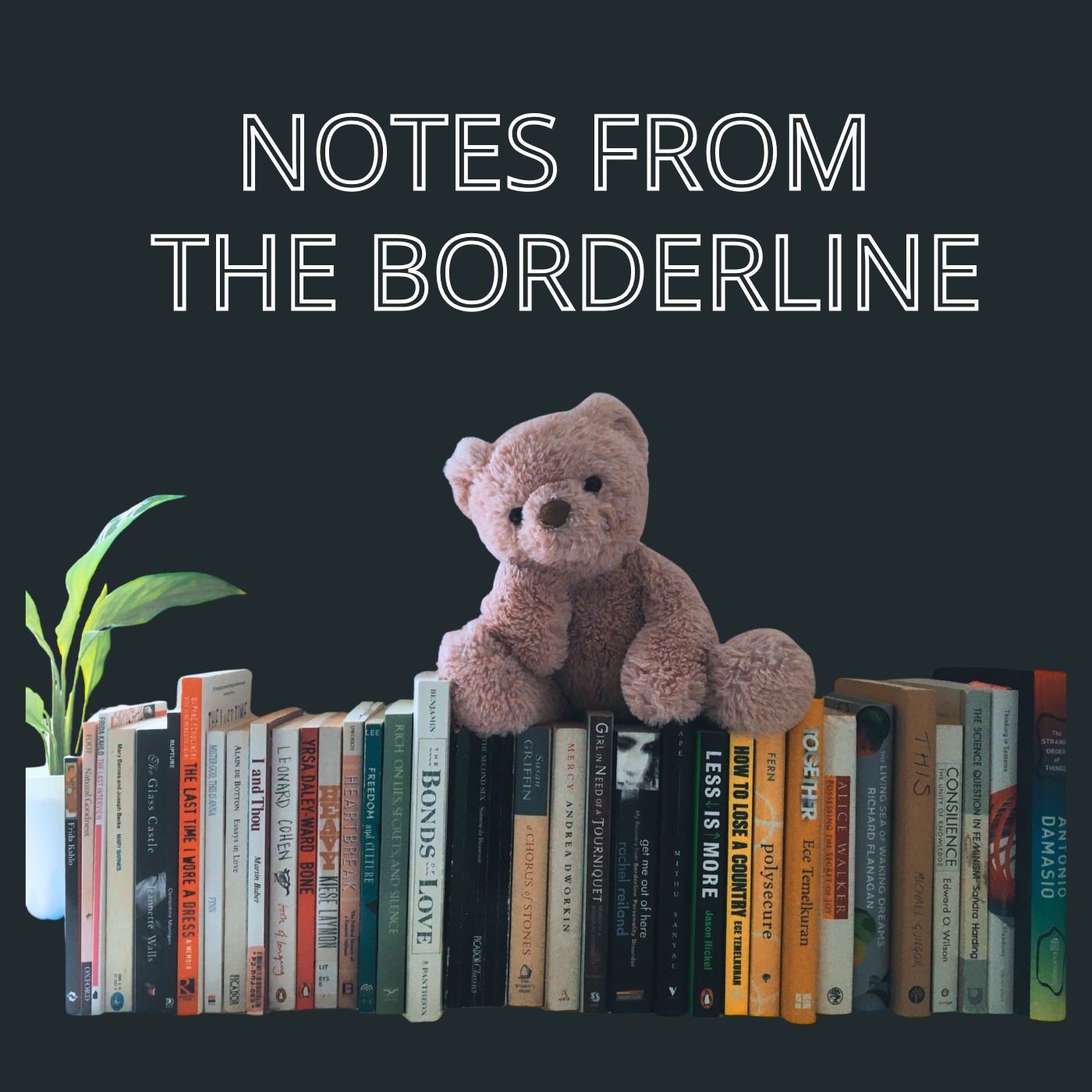 Notes from the Borderline cover art