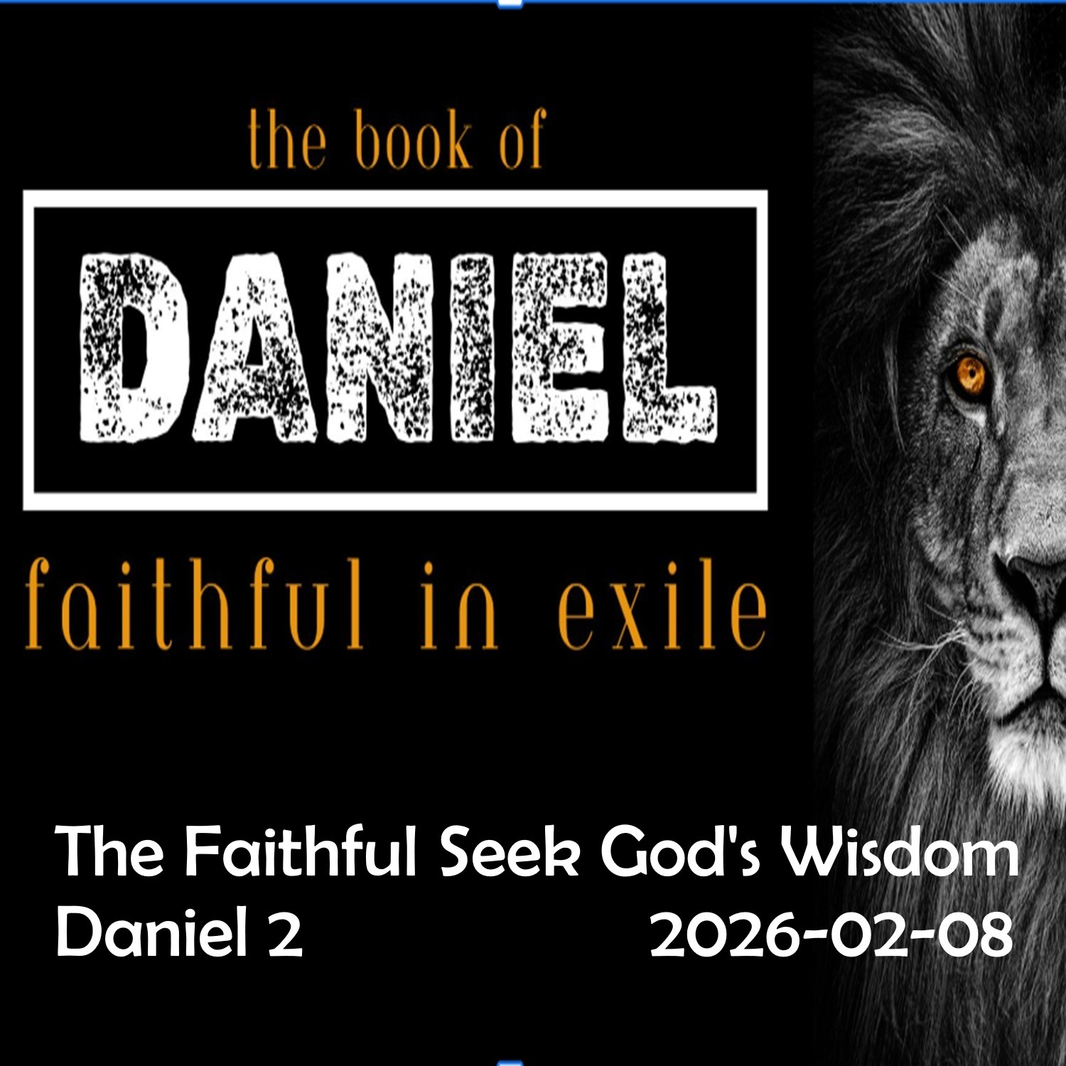 2026.02.08  The Faithful Seek God's Wisdom episode artwork