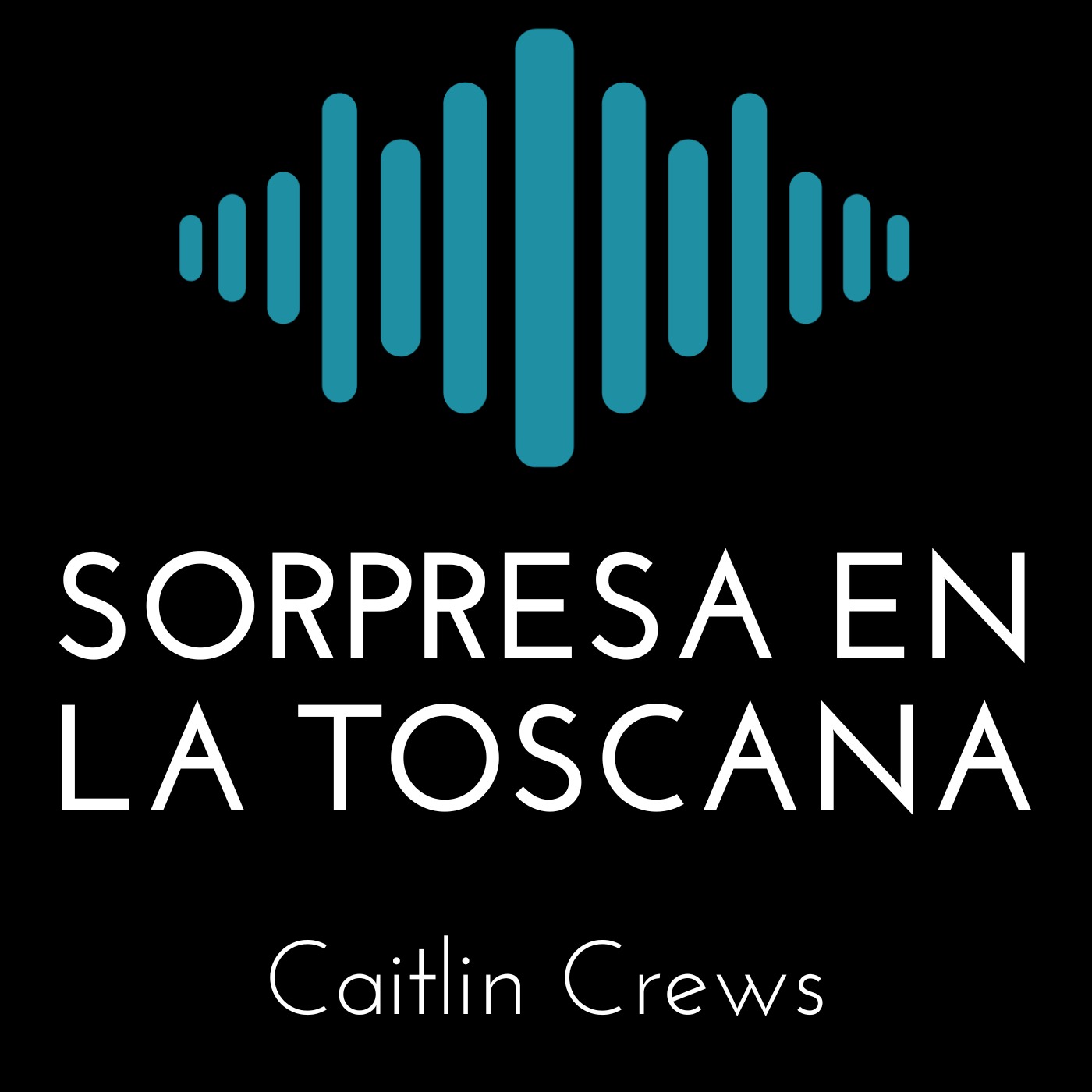 Portada de Audioquin