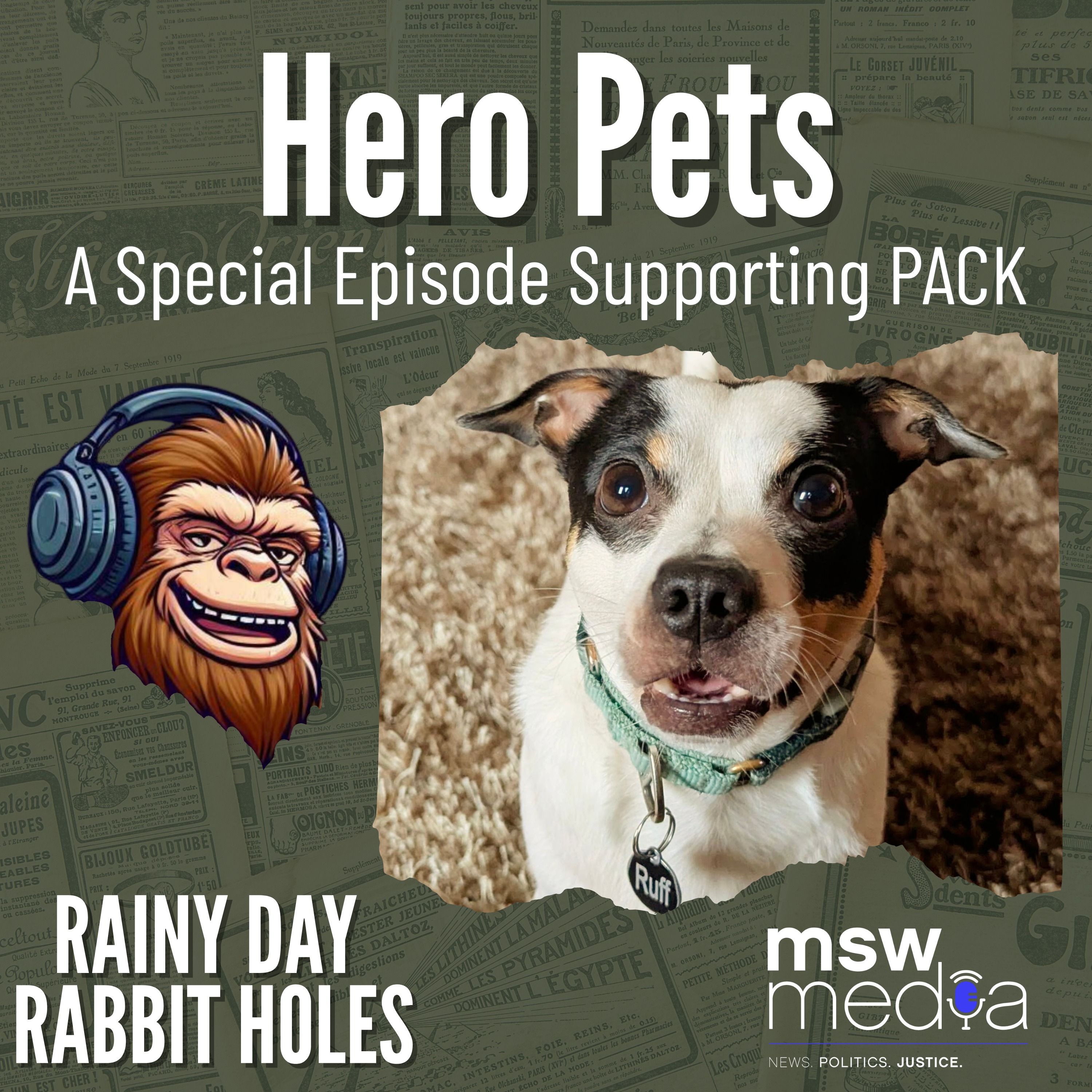 Hero Pets: When Animals Save the Day