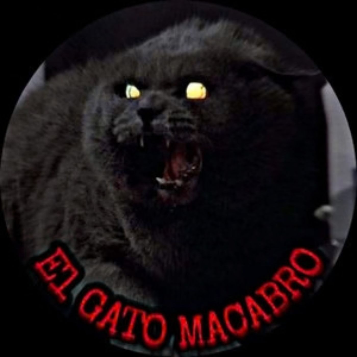 Gato Macabro YT