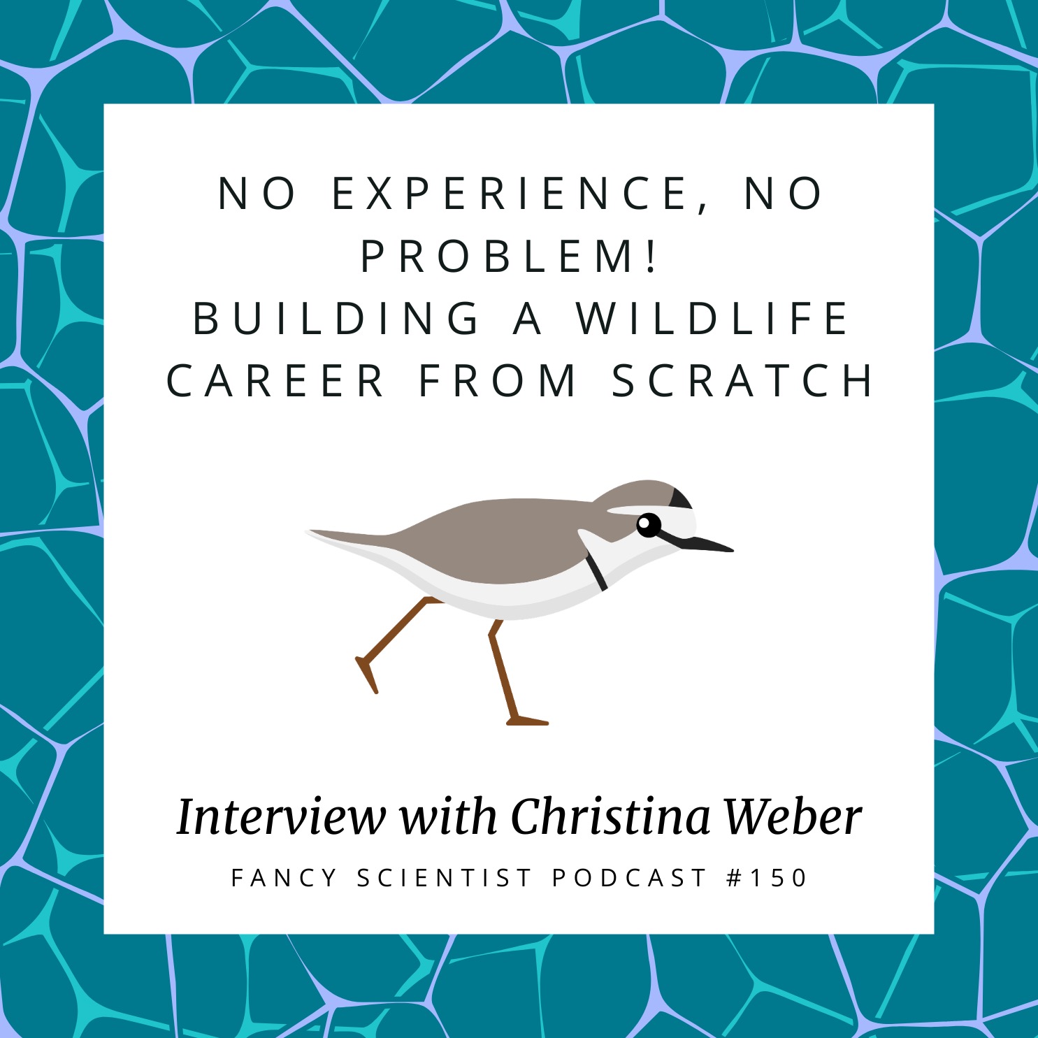 No Experience, No problem! Building a Wildlife Career from Scratch: Interview with Christina Weber