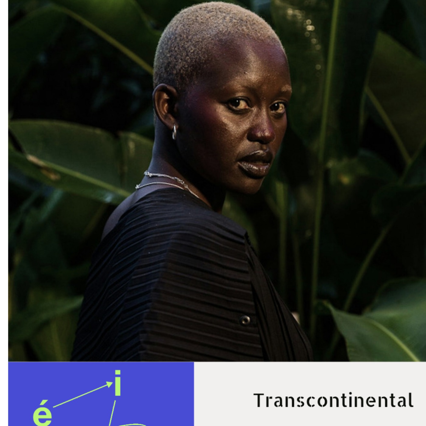 Transcontinental | Turkana episode artwork