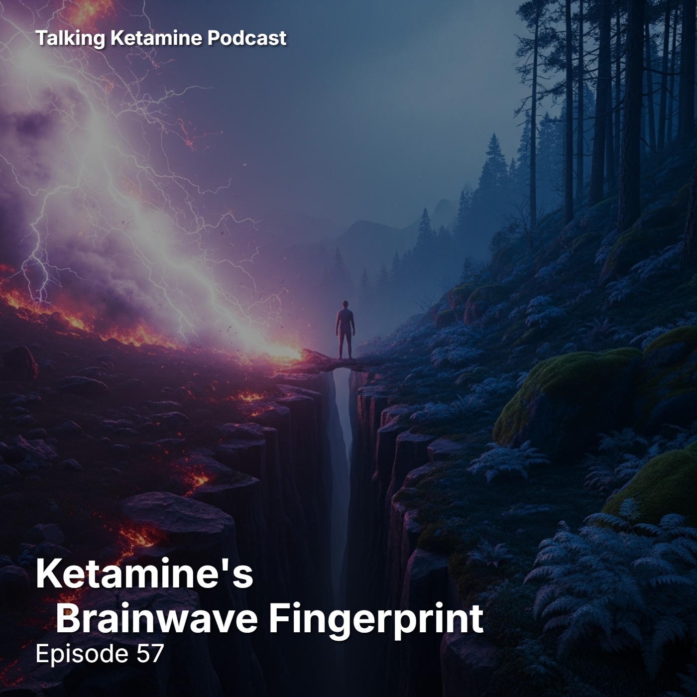 Ketamine's Brainwave Fingerprint episode artwork