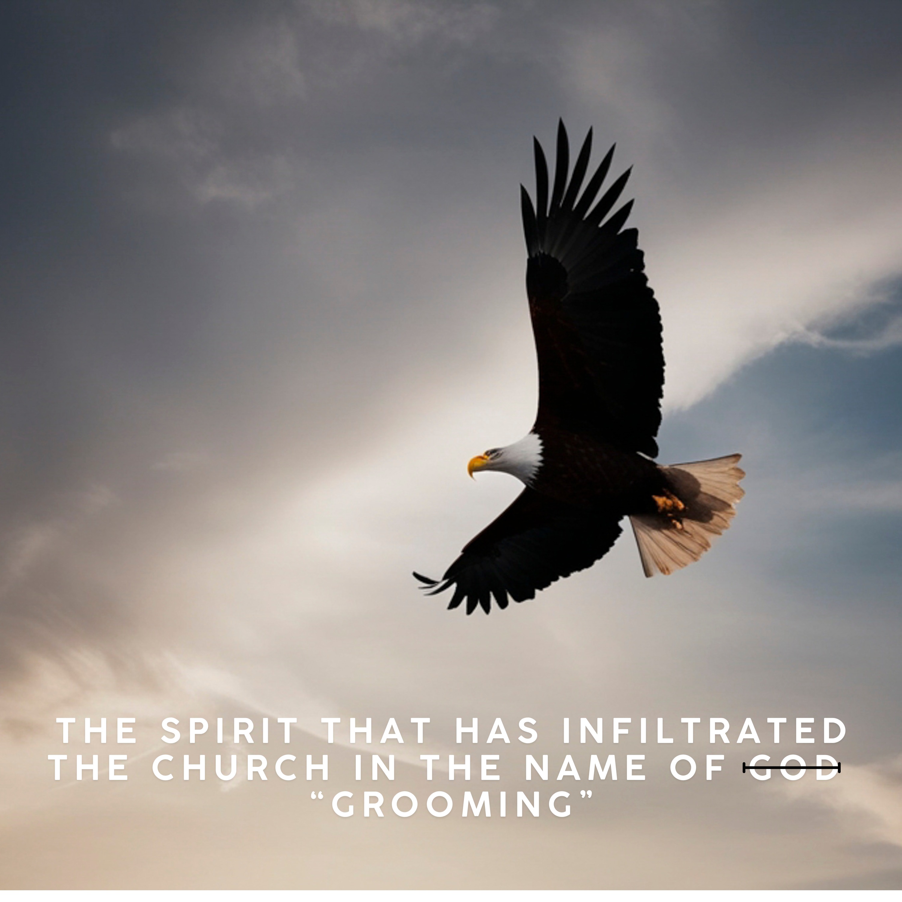 The spirit that has infiltrated the church in the name of "grooming" — Live Free Podcast cover
