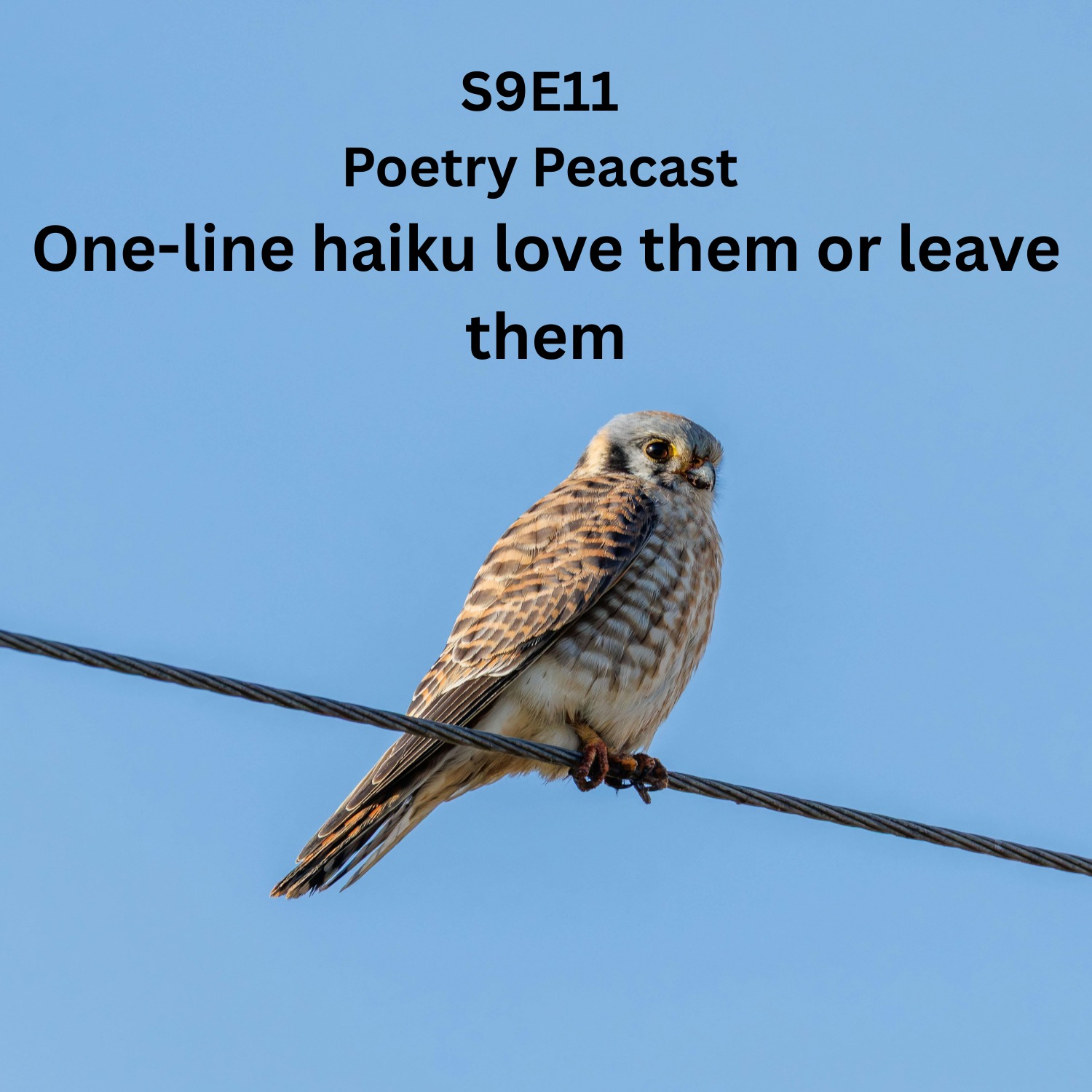 S9E11 One-line haiku love them or leave them.
