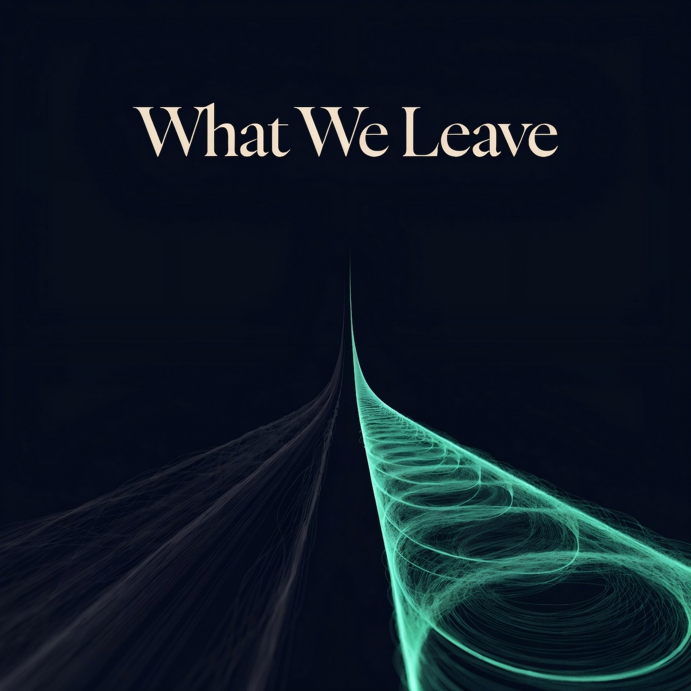 What We Leave podcast artwork
