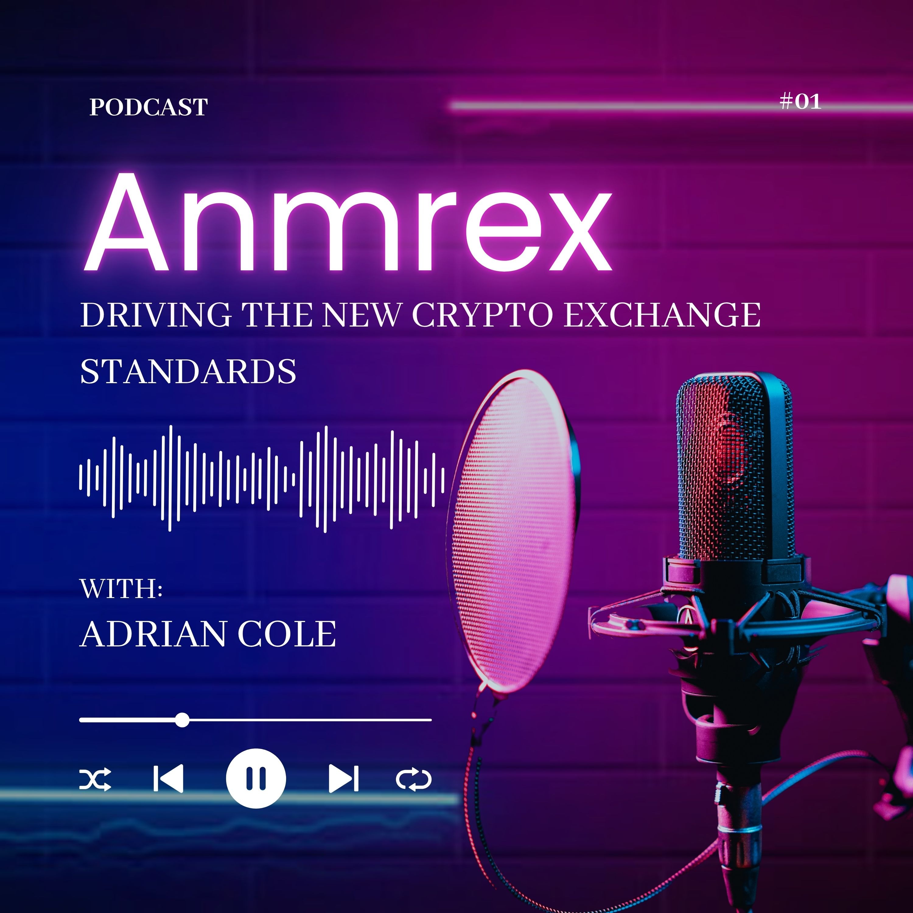 Audio Player Image