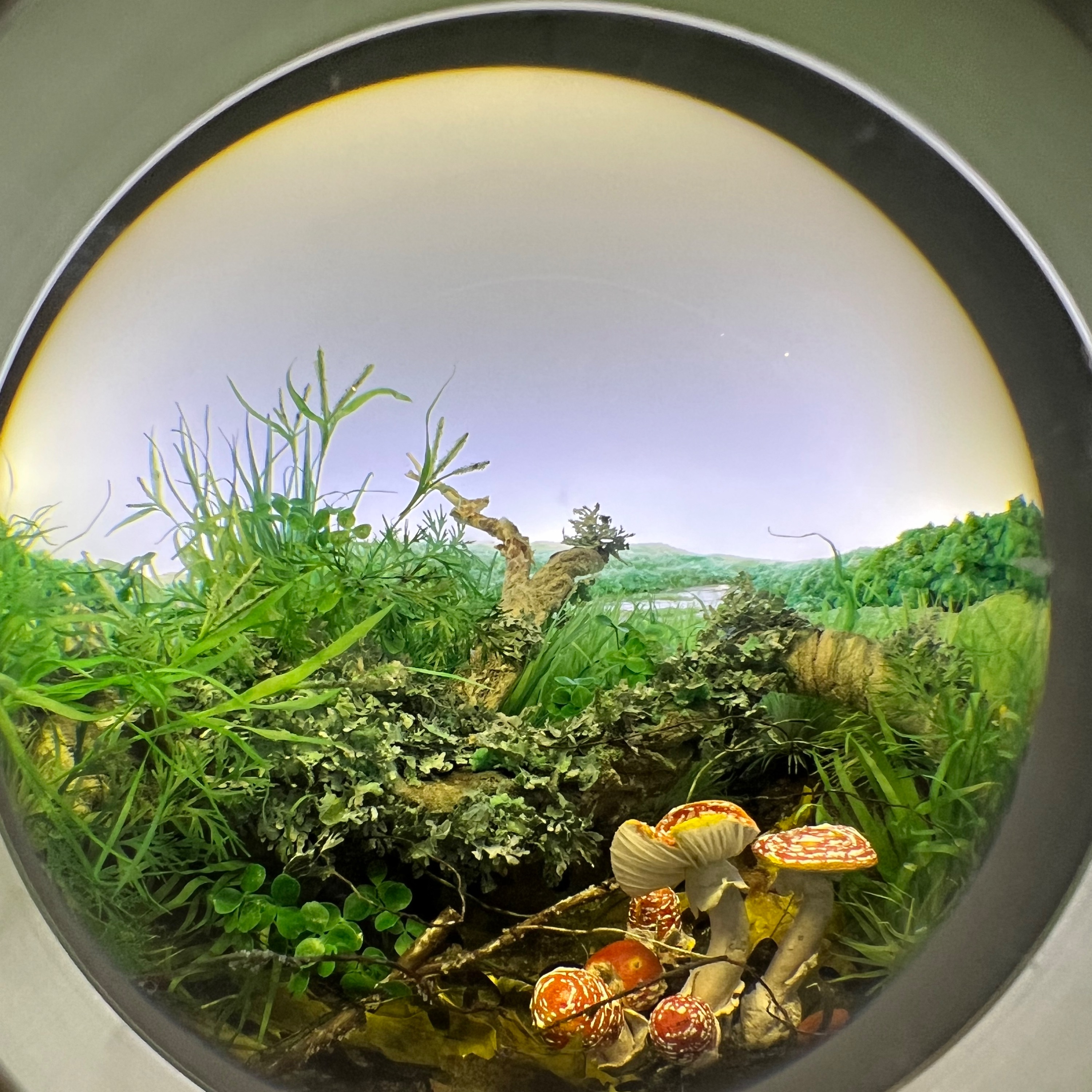 Audio Player Image