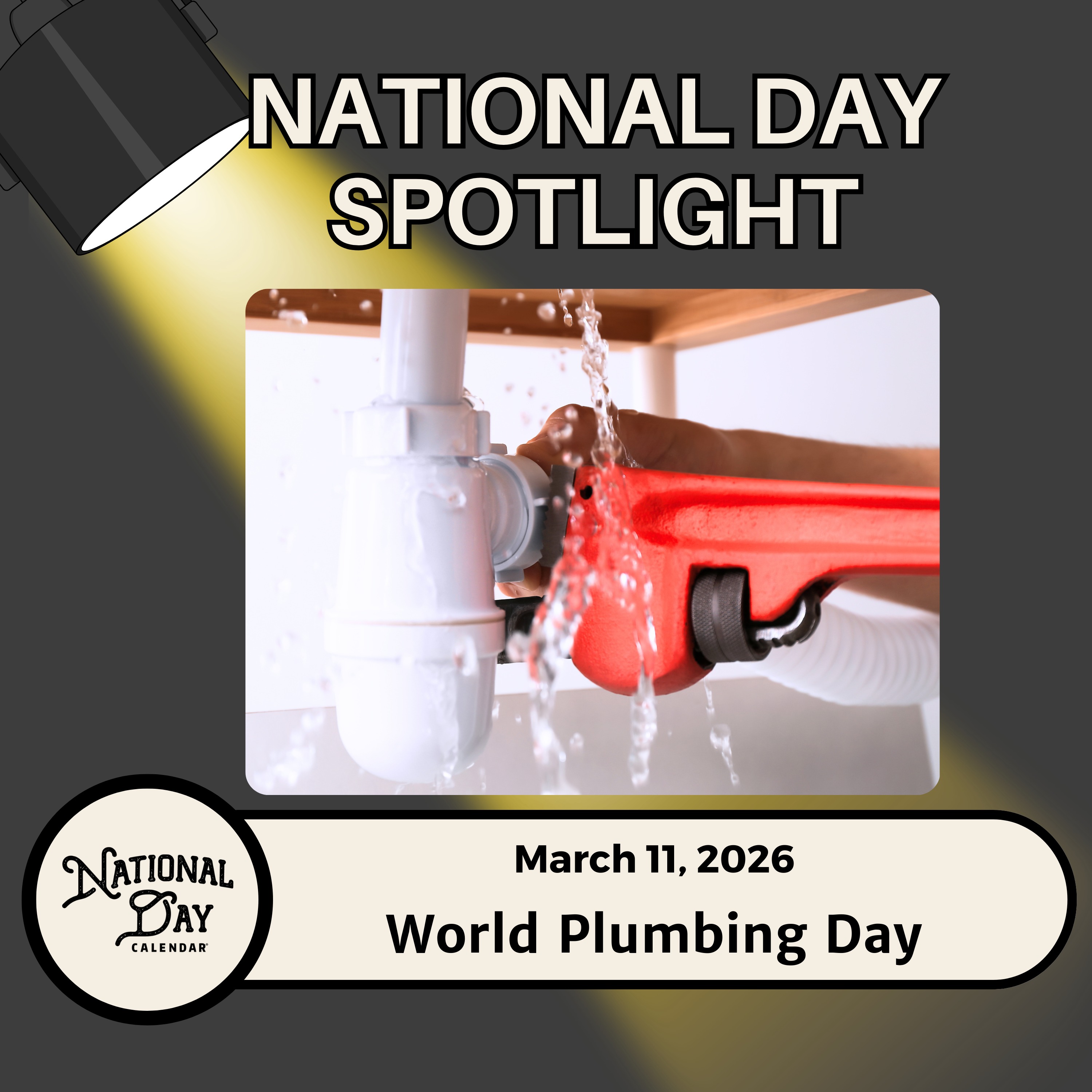 World Plumbing Day