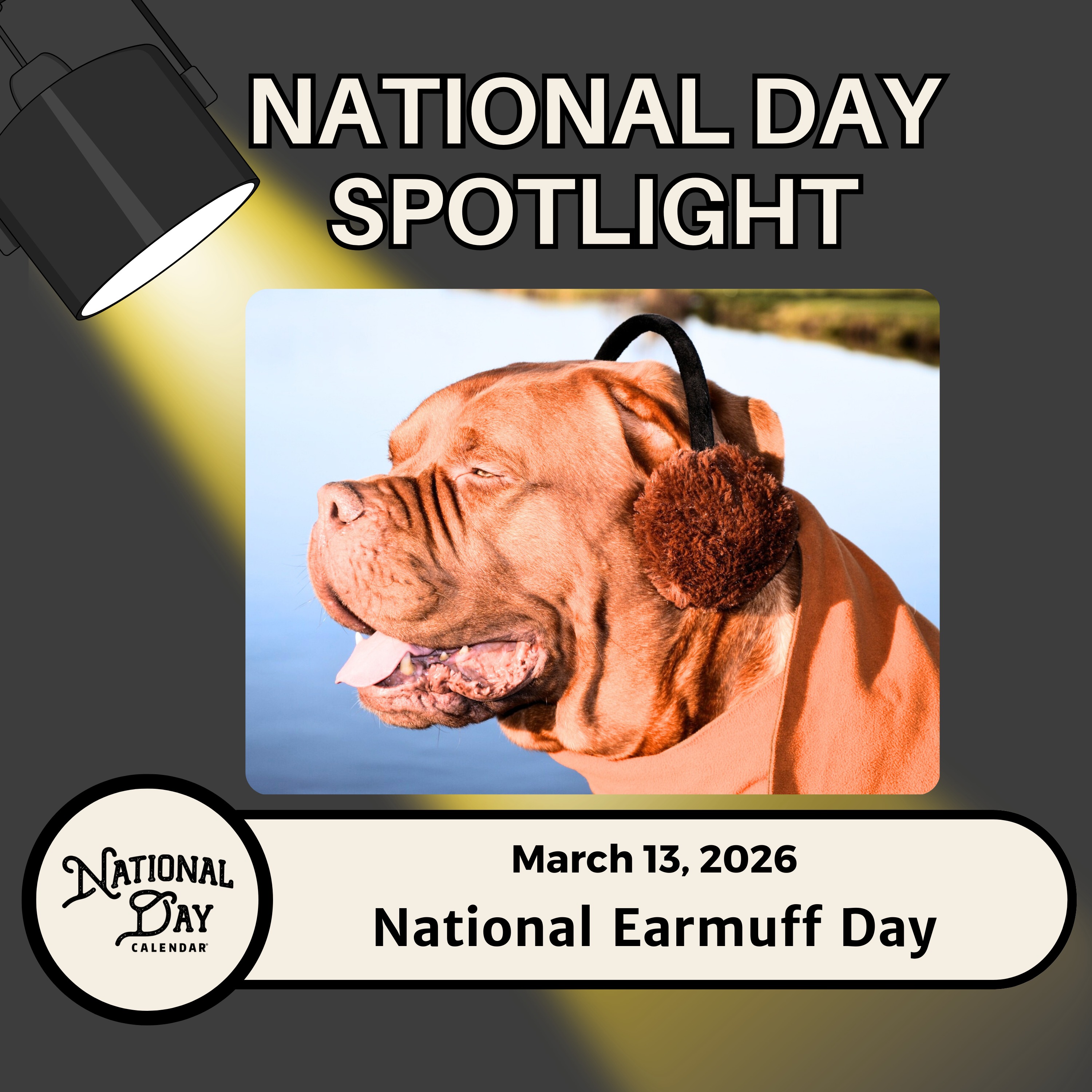 National Earmuff Day