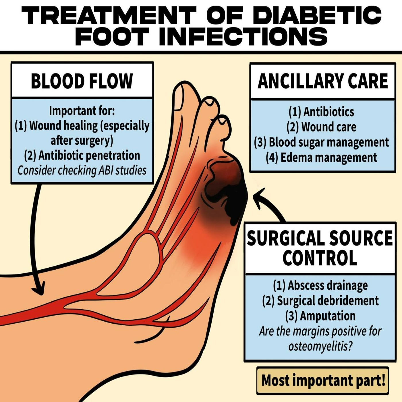 #204 Diabetic Foot Infections & Osteomyelitis: 5 Pearls Segment