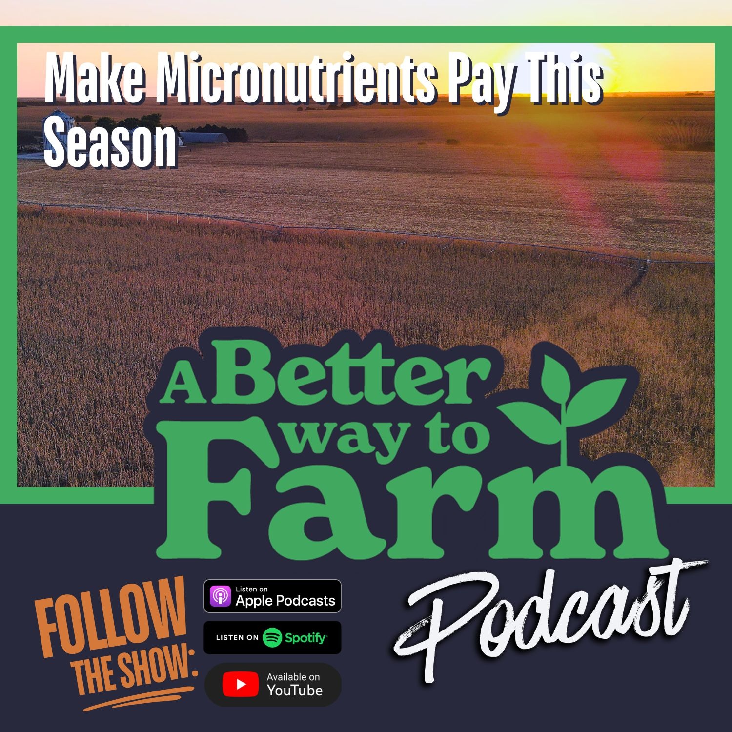 360: Make Micronutrients Pay This Season