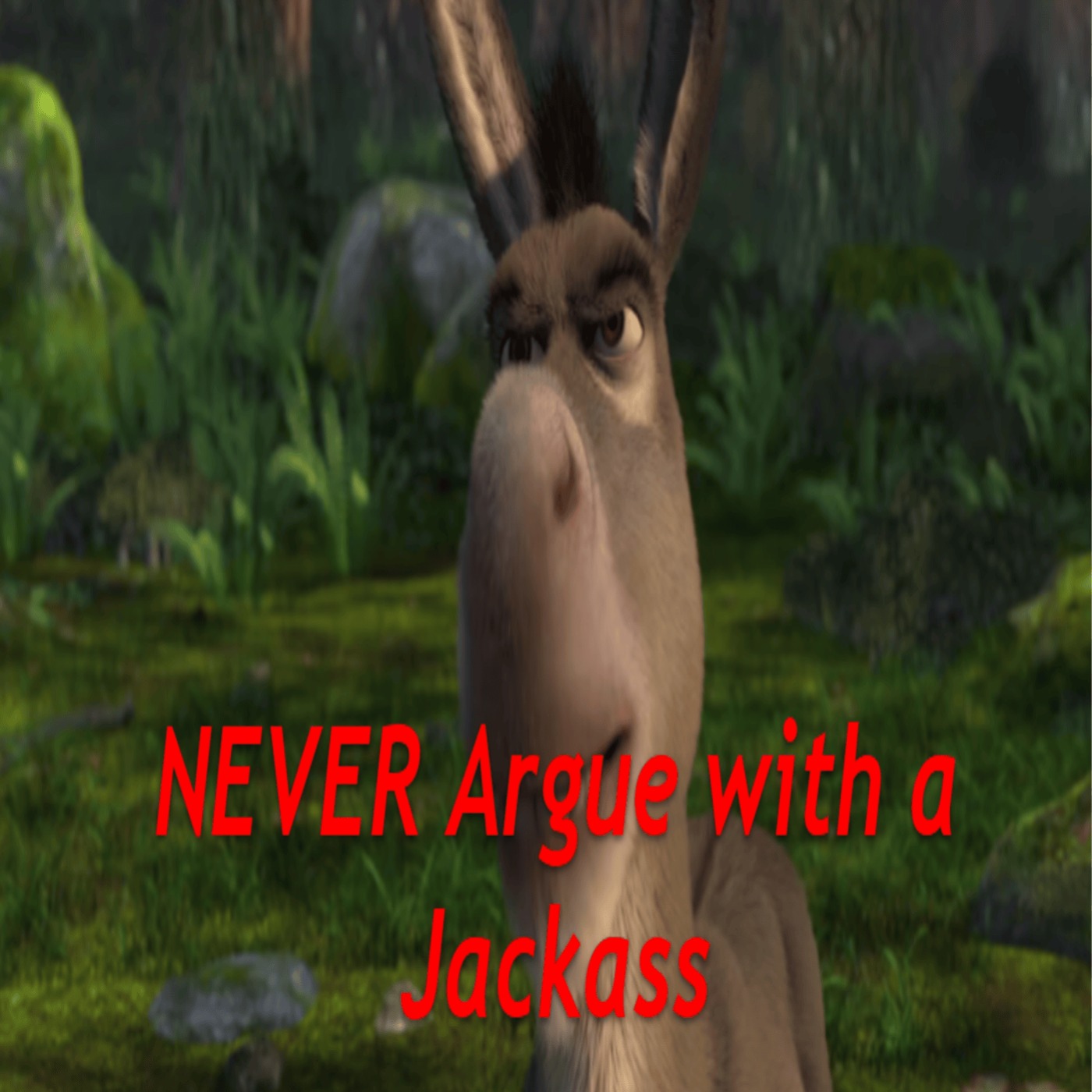 Never Argue with a Jackass