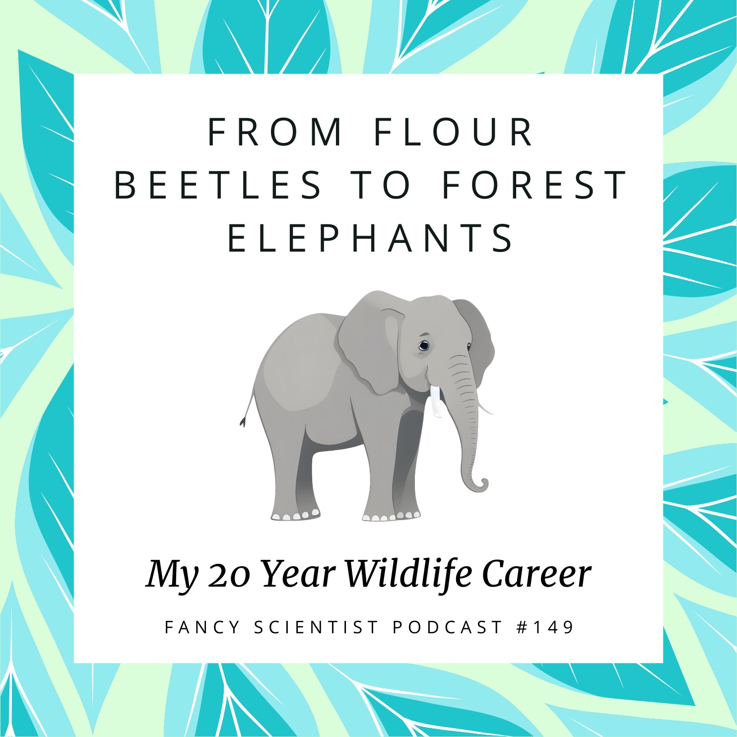 From Flour Beetles to Forest Elephants: My 20 Year Wildlife Career