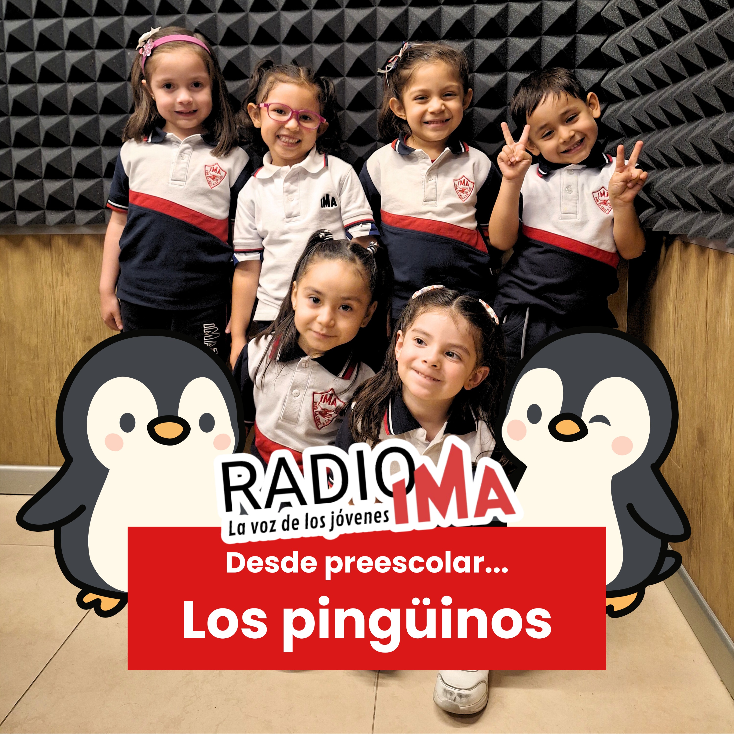 Desde Preescolar - ¡Todo sobre los pingüinos! episode artwork