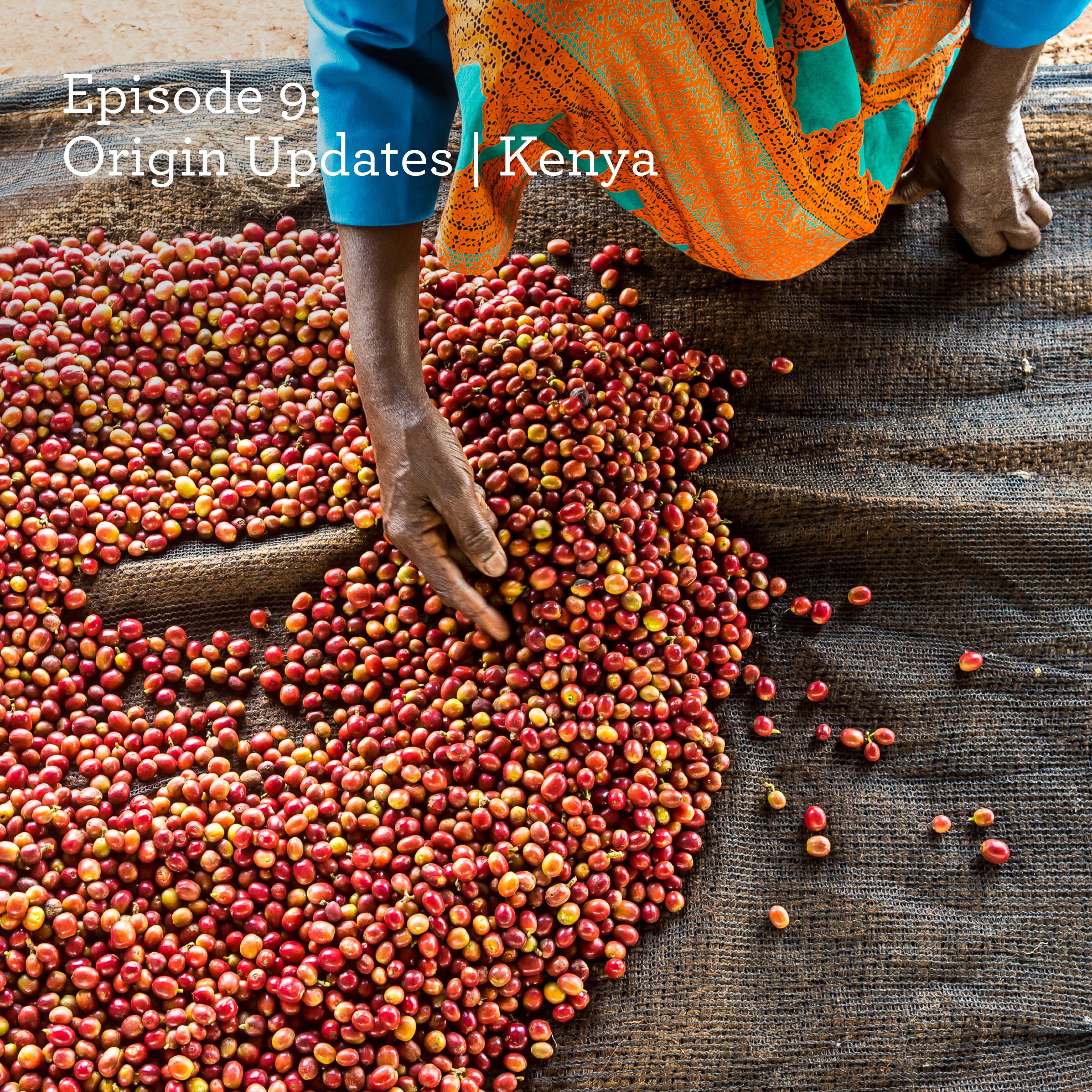 Origin Updates | Kenya