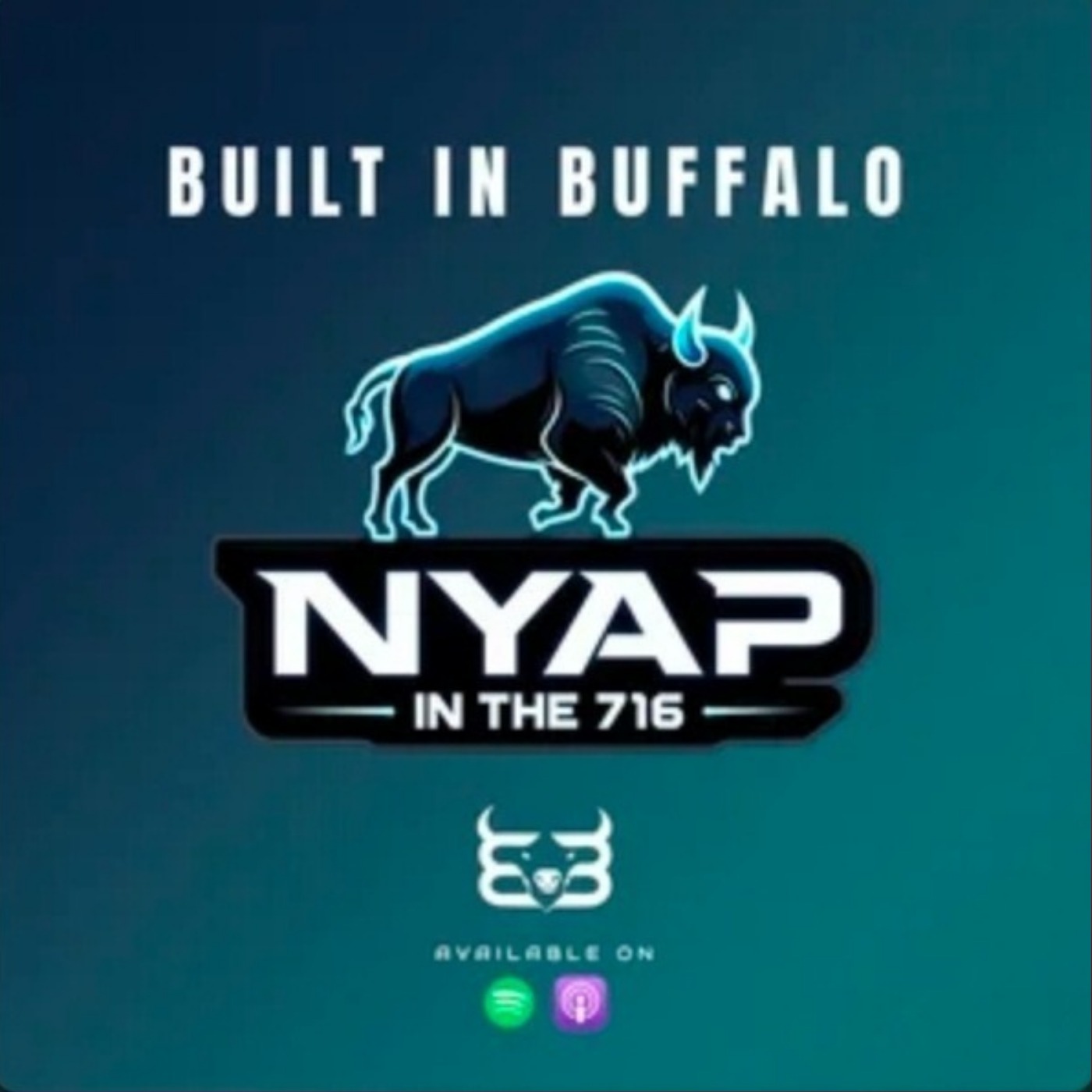 Not Your Average Podcast In The 716 "Off-season Workouts" episode artwork
