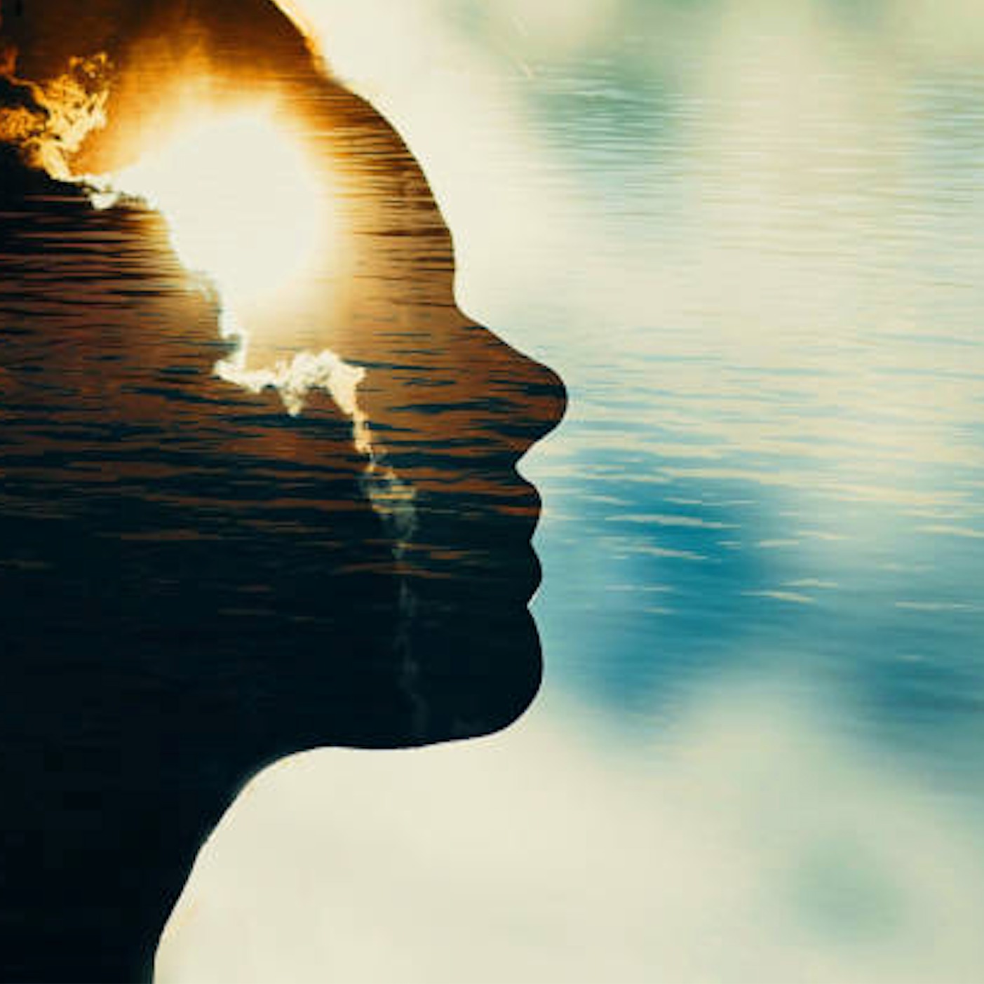 Contemplative Practice: Unwind~