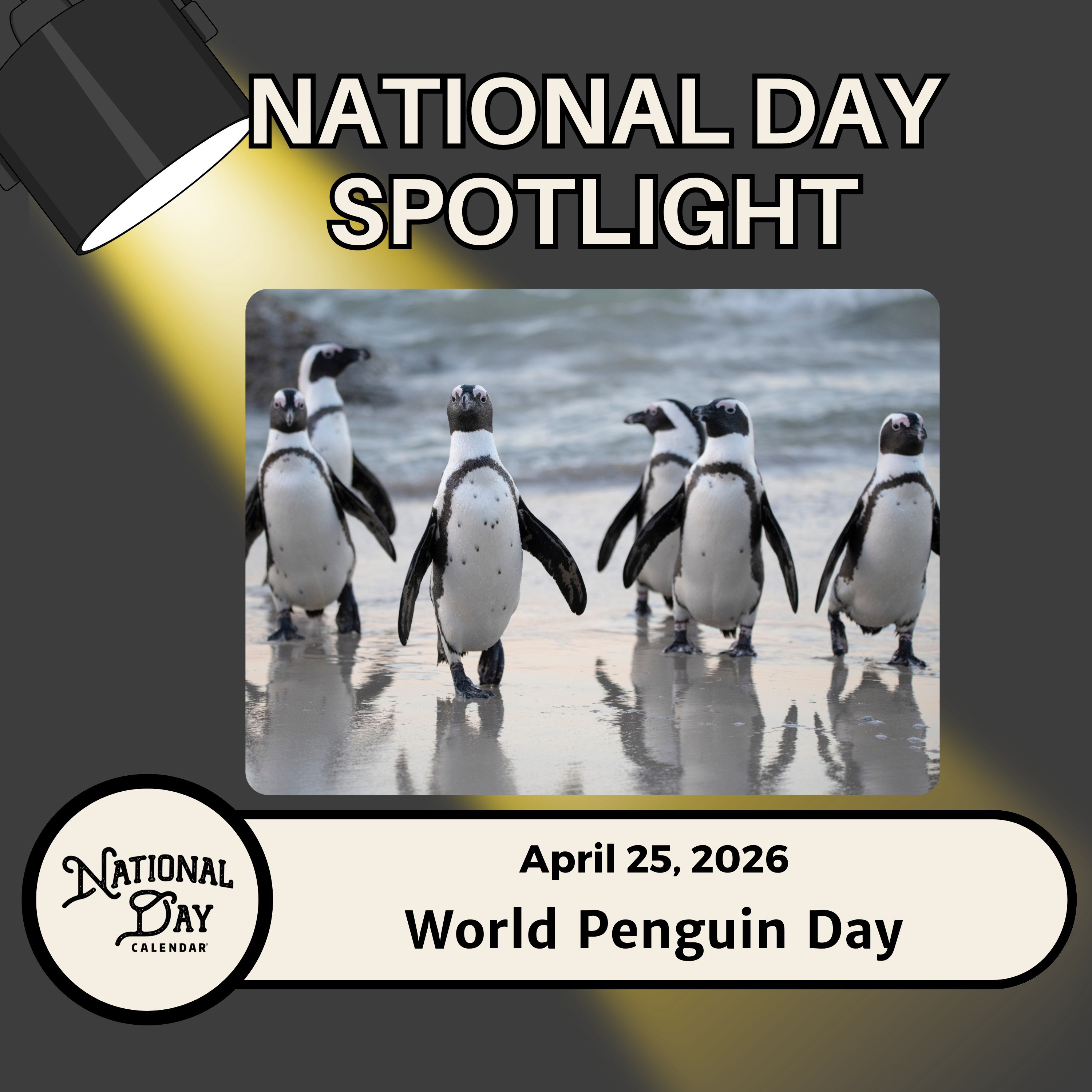 World Penguin Day