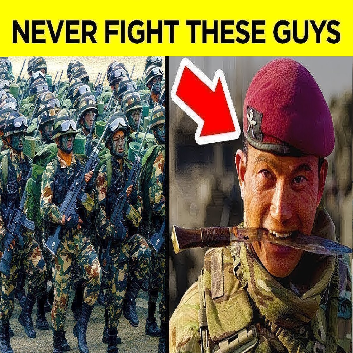 Play Most Disciplined Armies In The World