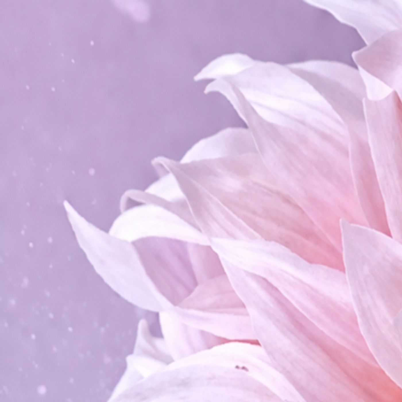 Audio Player Image