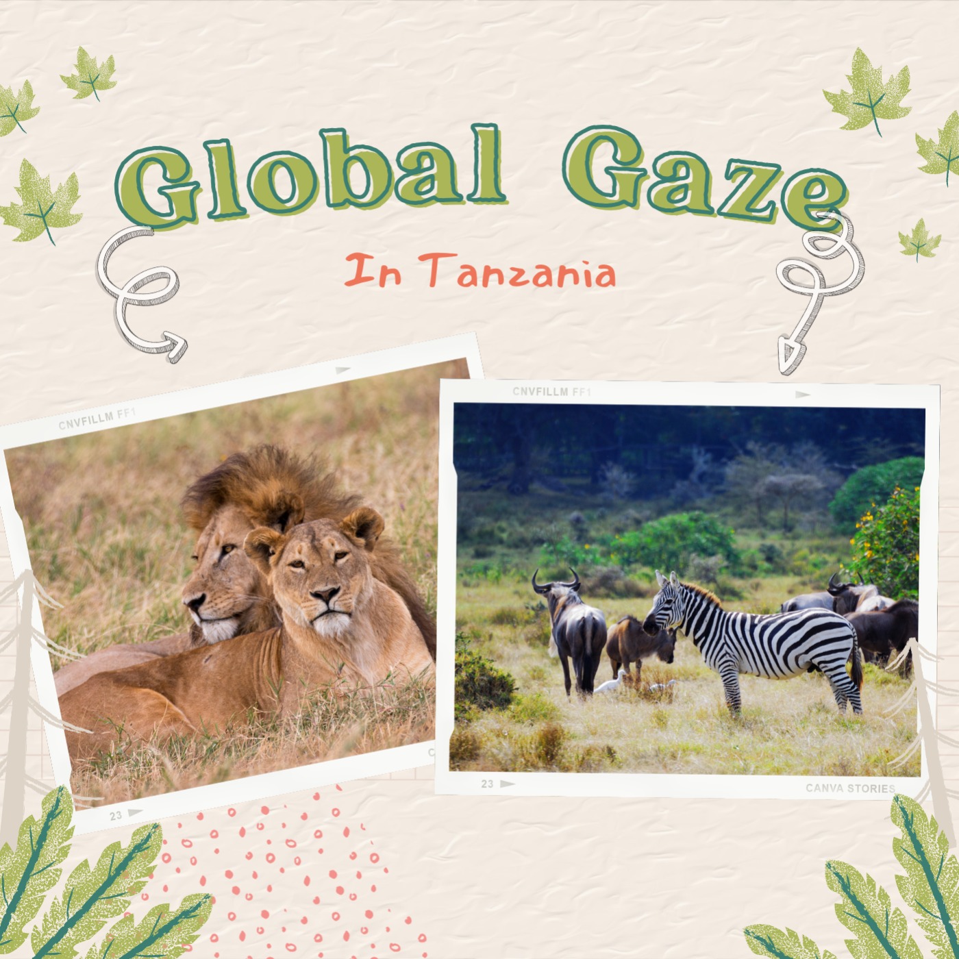 Global Gaze