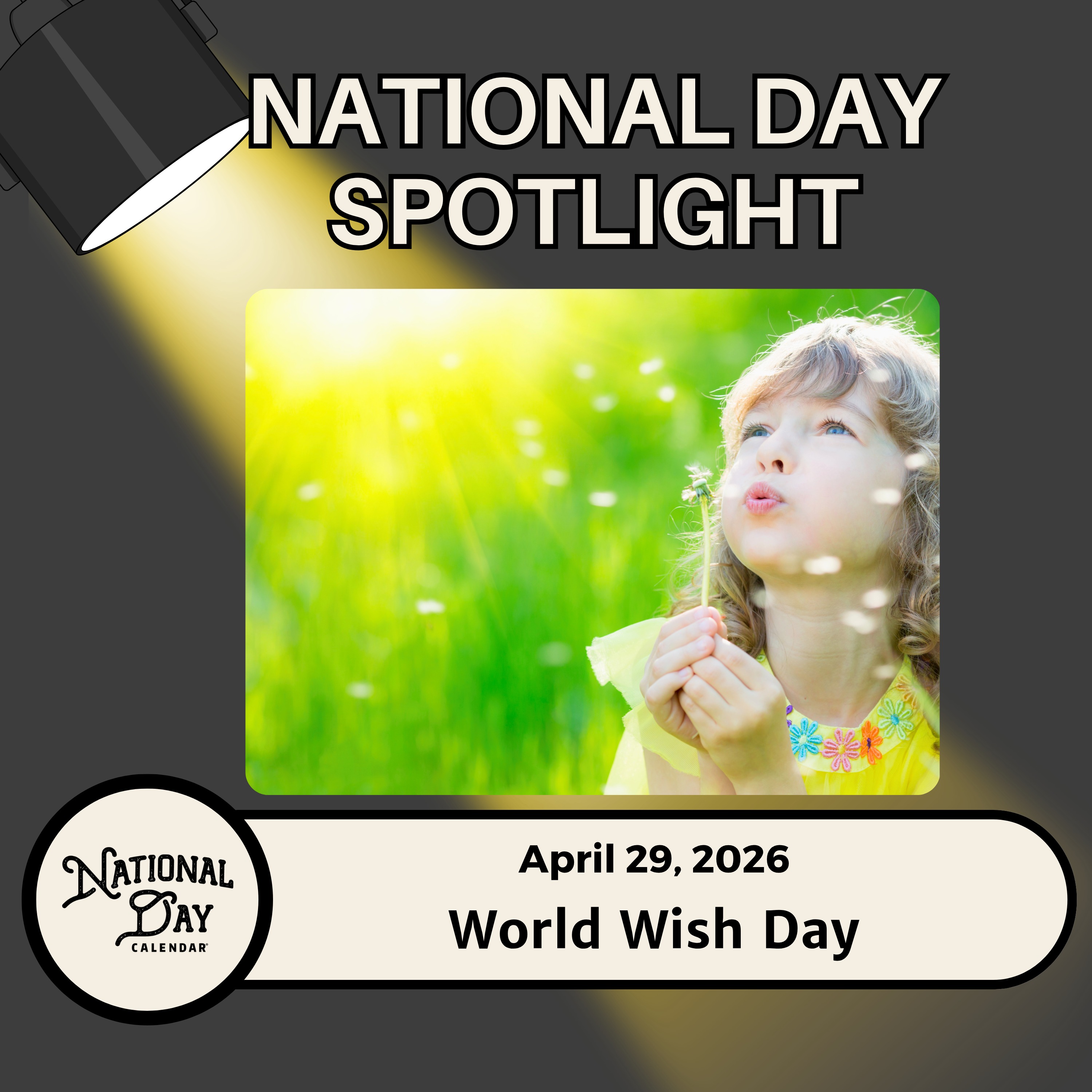 World Wish Day