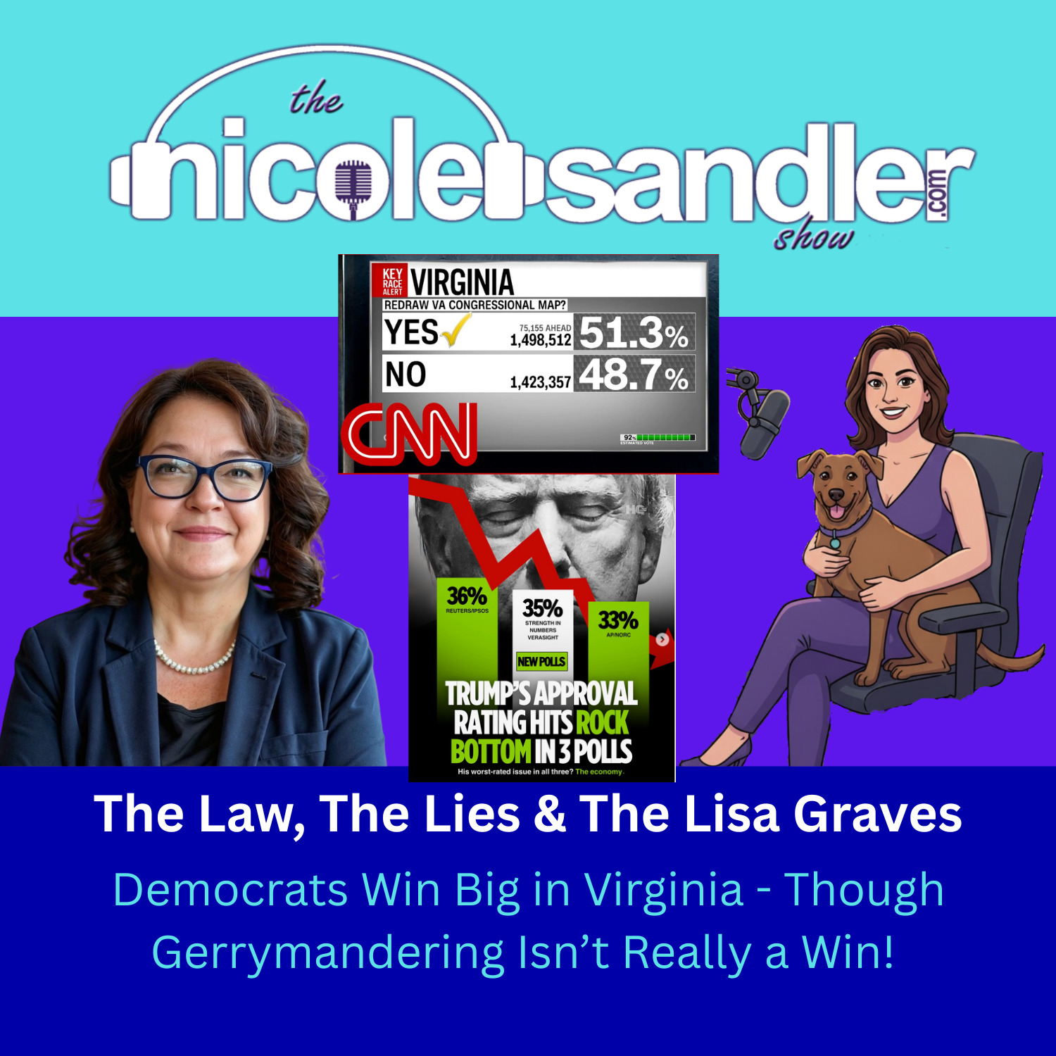The Law, The Lies and The Lisa Graves