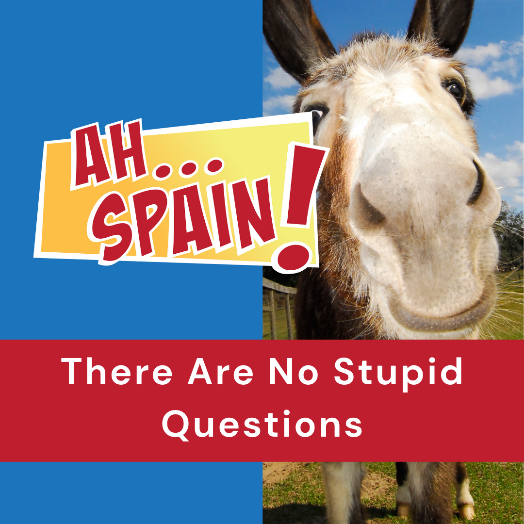 There Are No Stupid Questions episode artwork