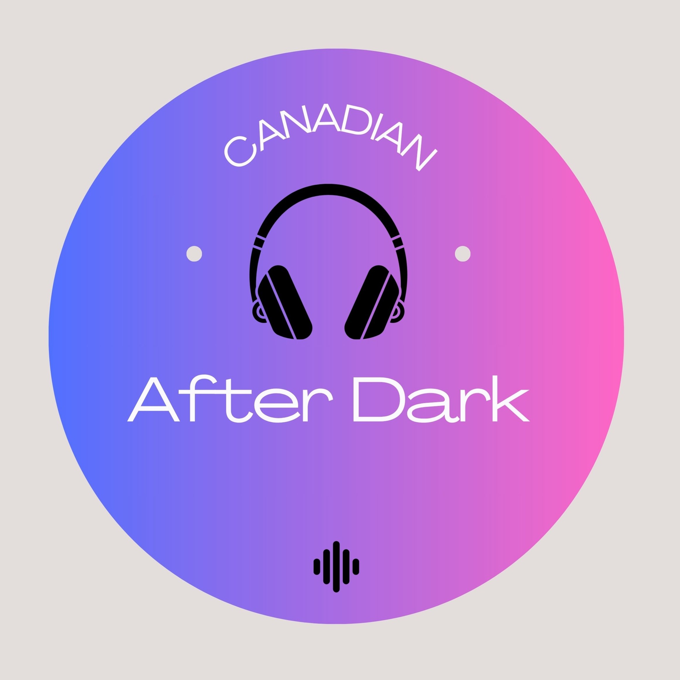 Audio Player Image