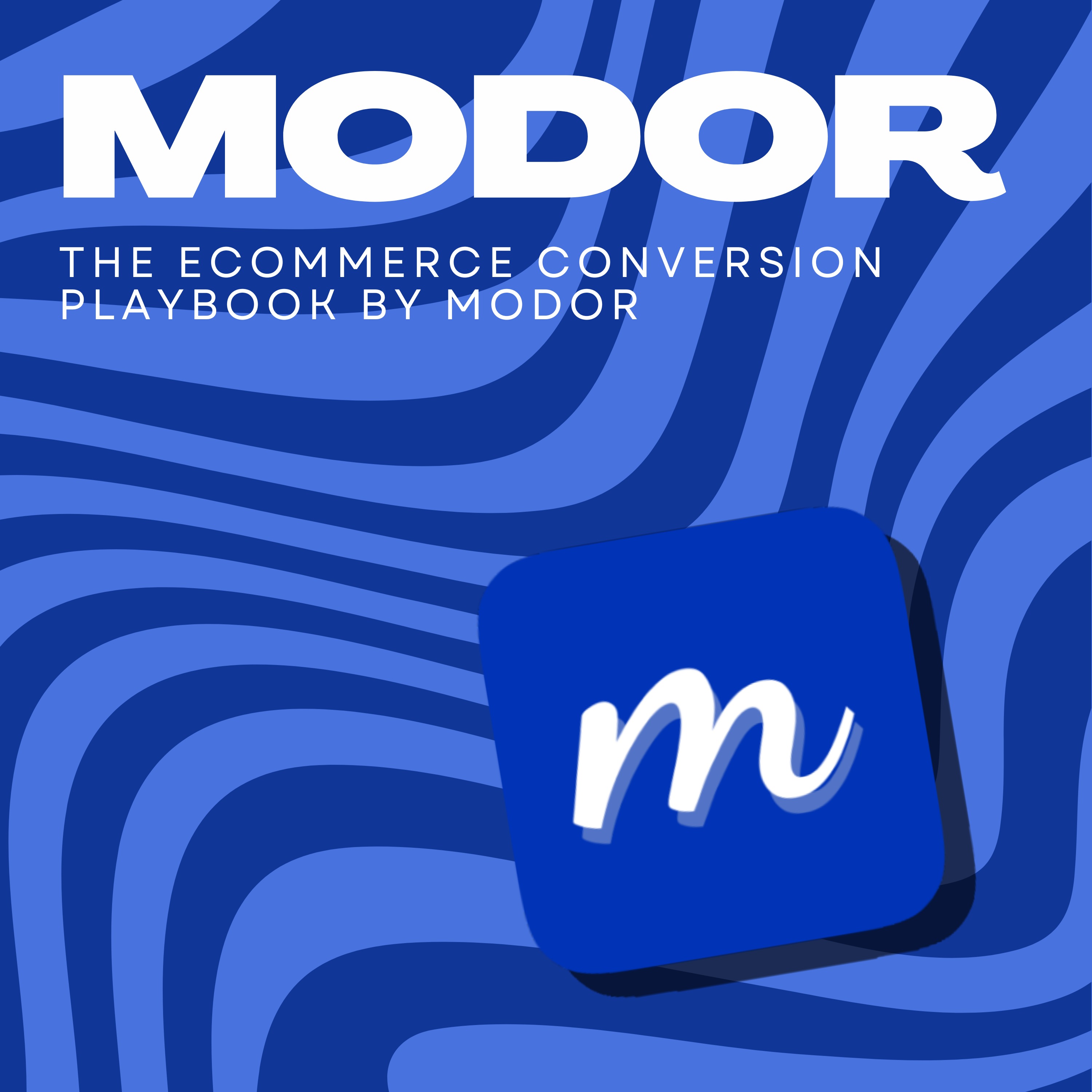 From Zero to First 100 Sales: eCommerce Launch Blueprint episode artwork