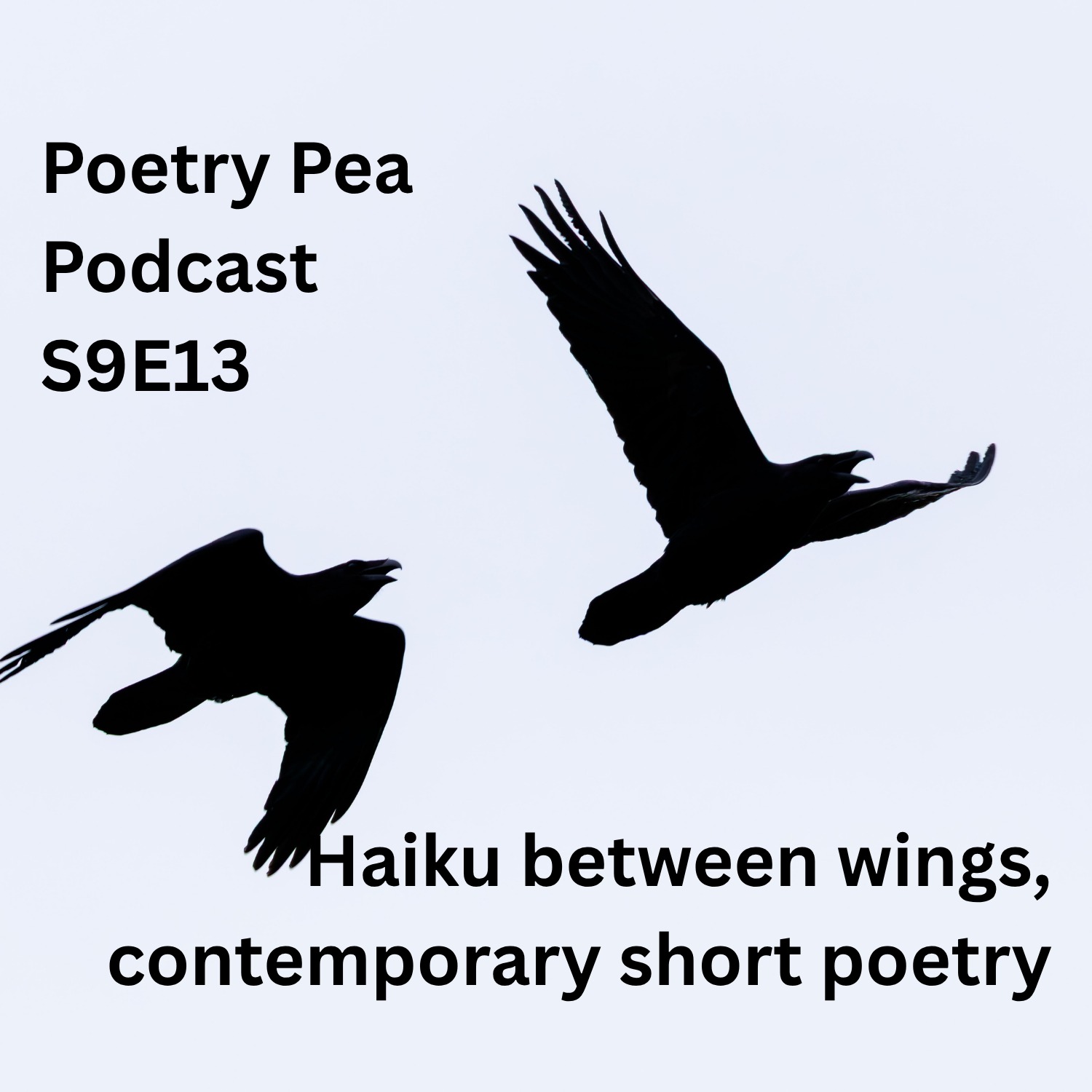 S9E13 Haiku between wings, contemporary short poetry