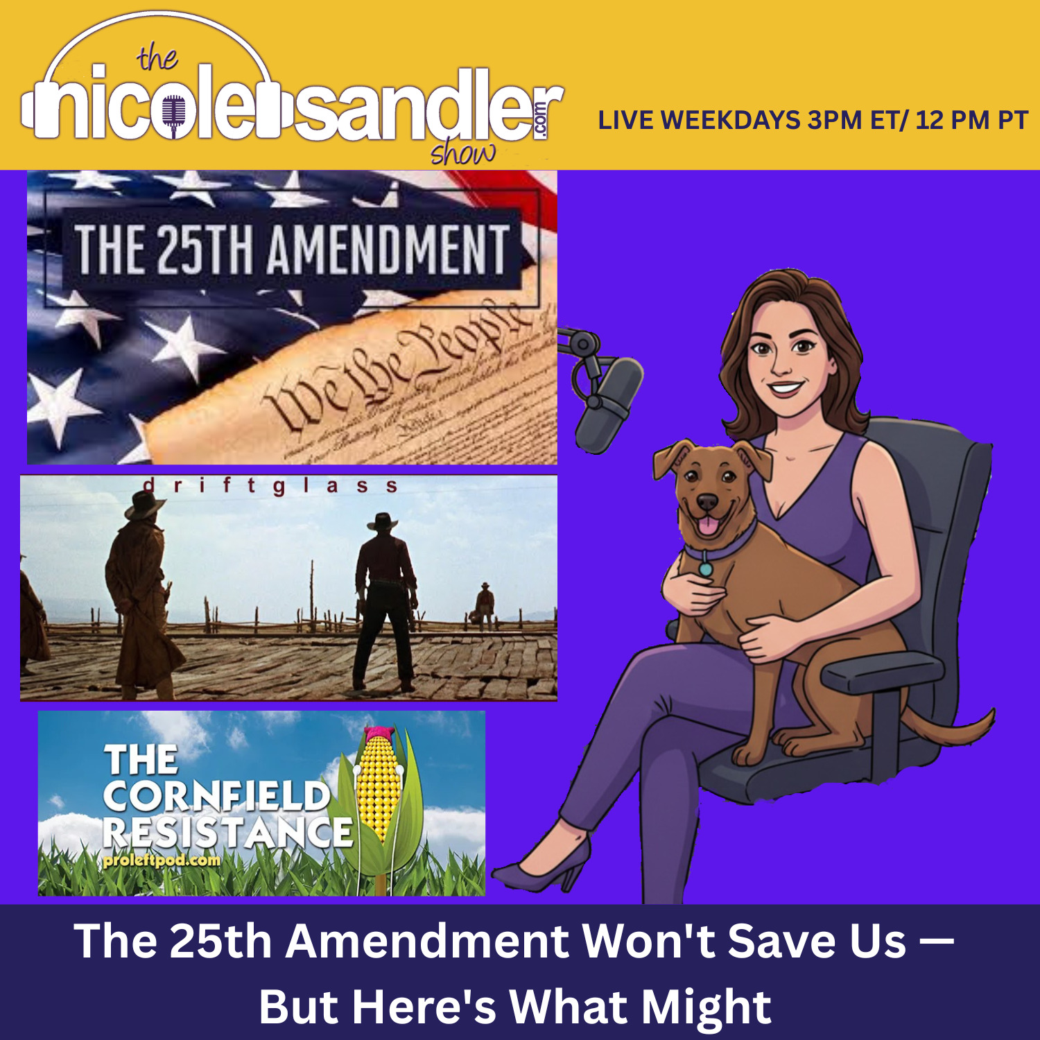 The 25th Amendment Won't Save Us, So What Will?