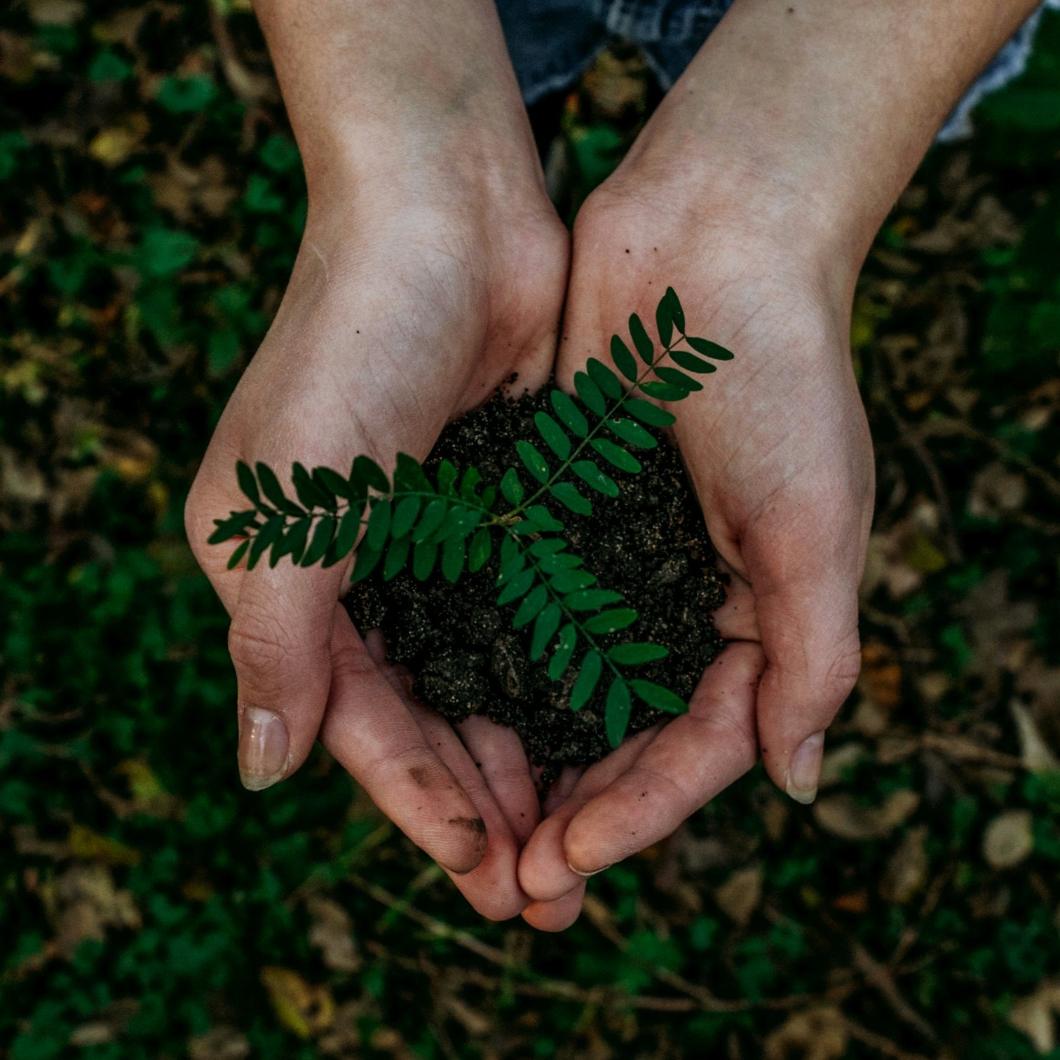 Make it interesting - Environment