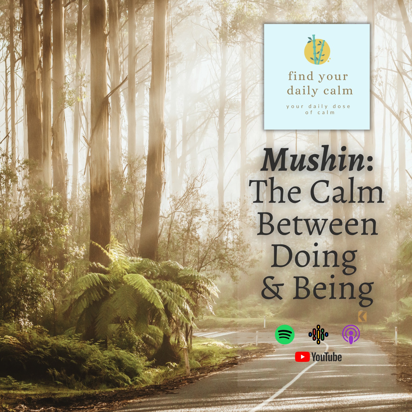 Mushin- The Calm Between Doing & Being episode artwork