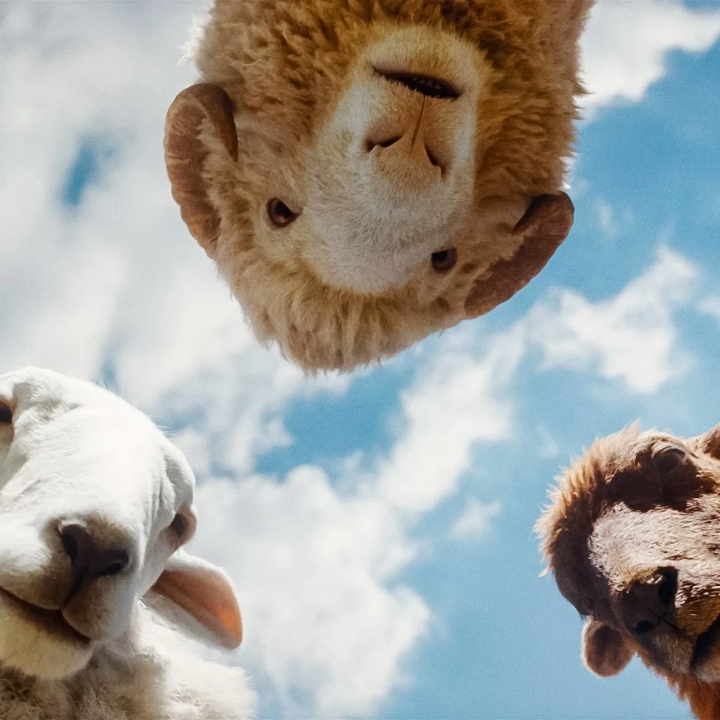 The Sheep Detectives and Hokum episode artwork