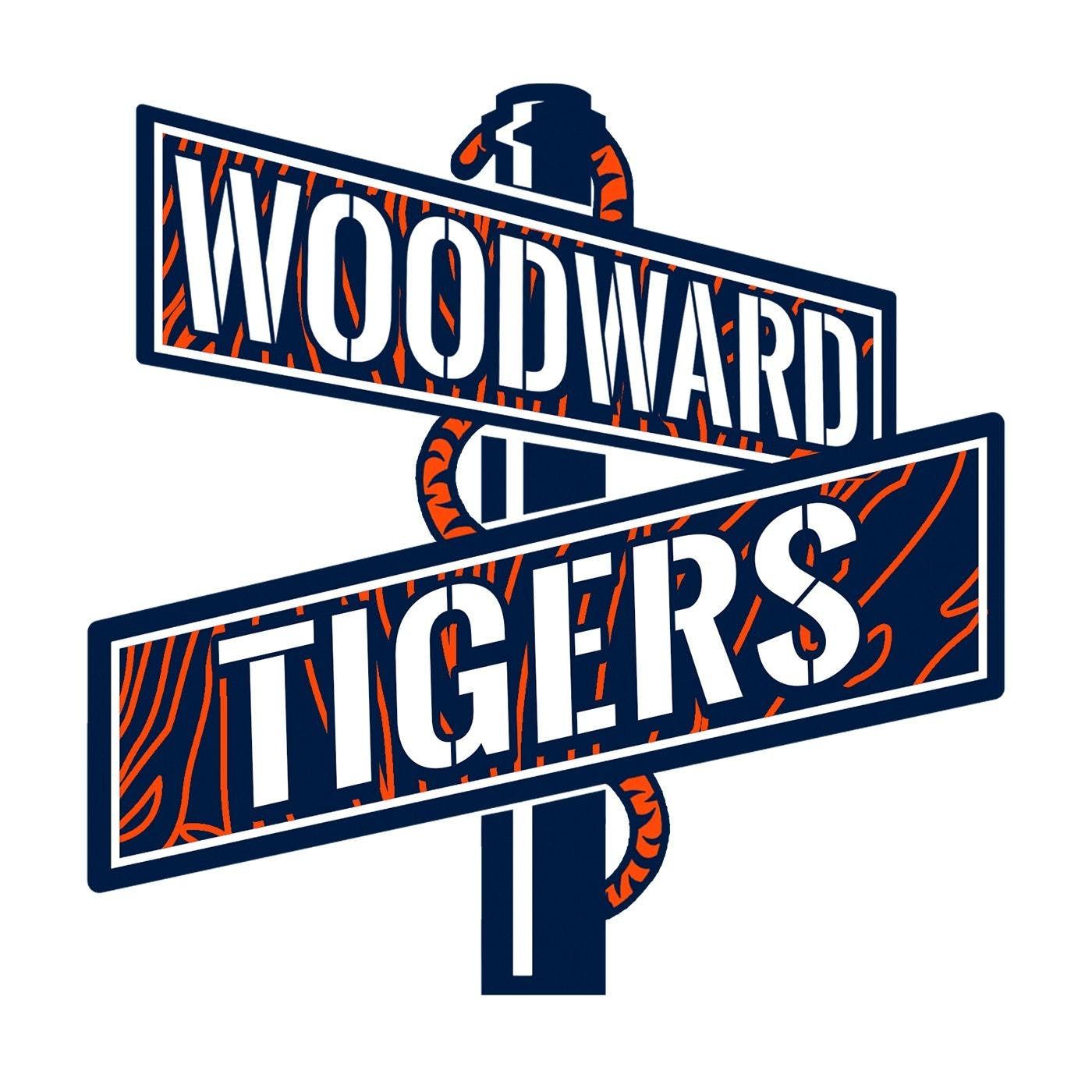 Episode 017-Post Detroit Tigers MLB Draft Recap episode artwork