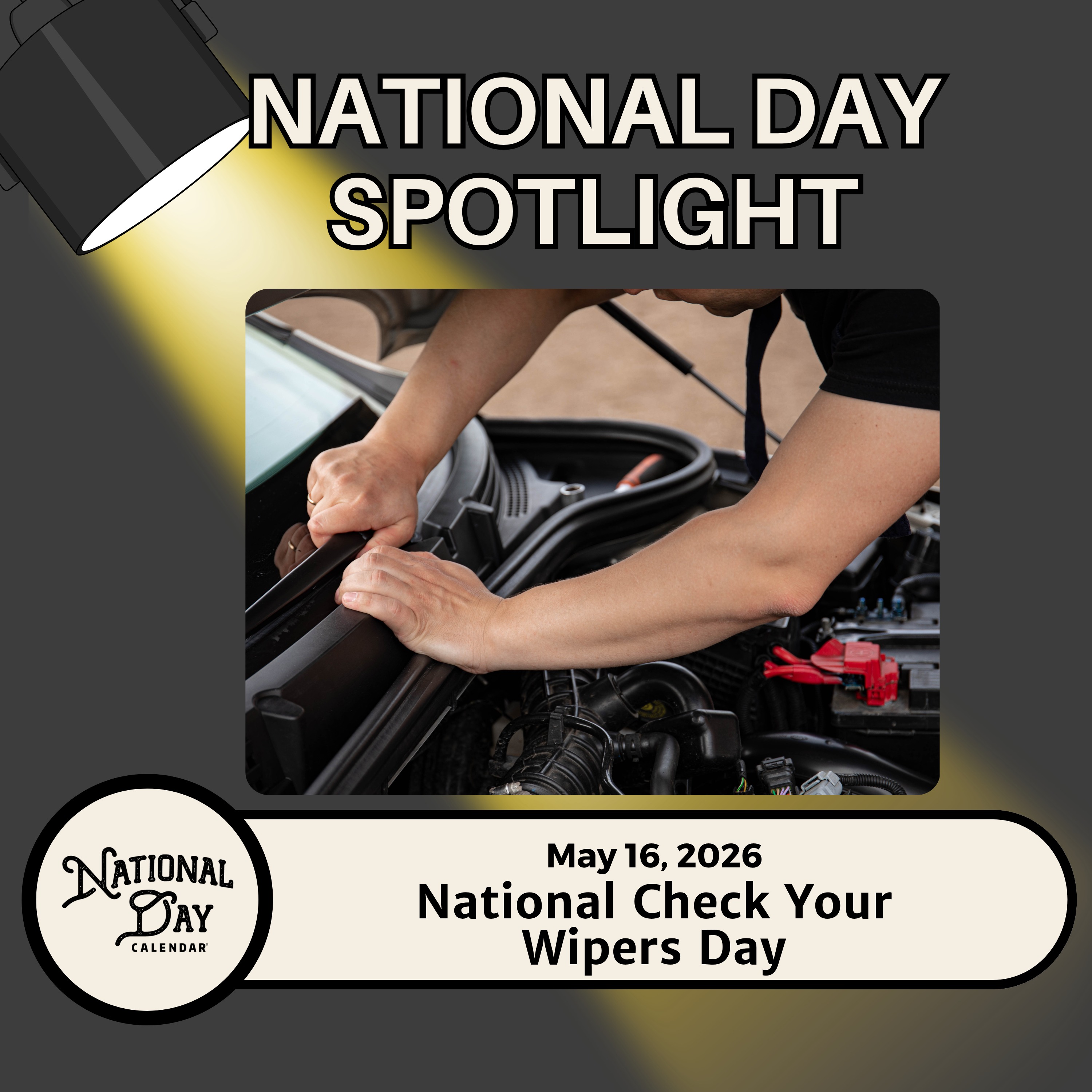 National Check Your Wipers Day