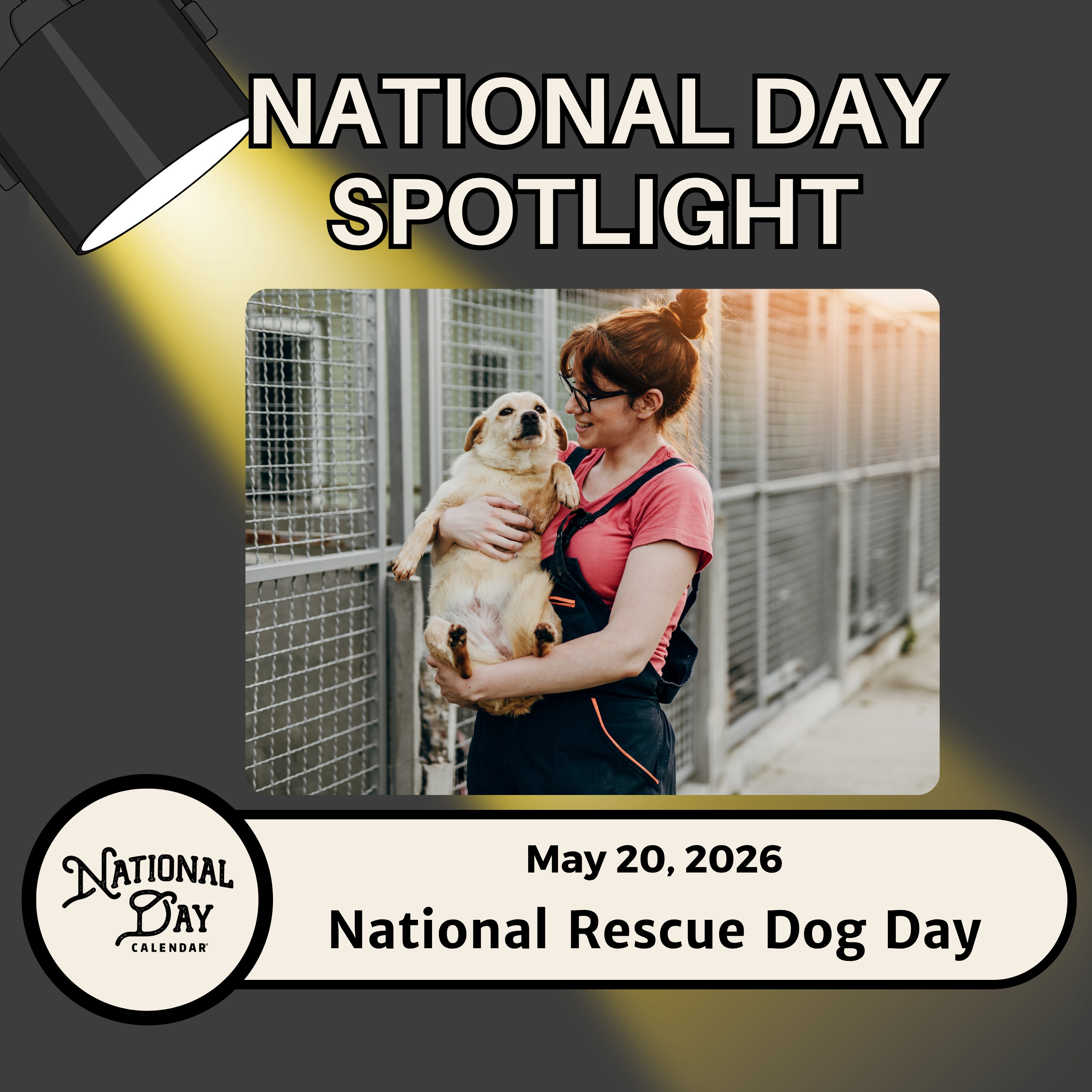 National Rescue Dog Day