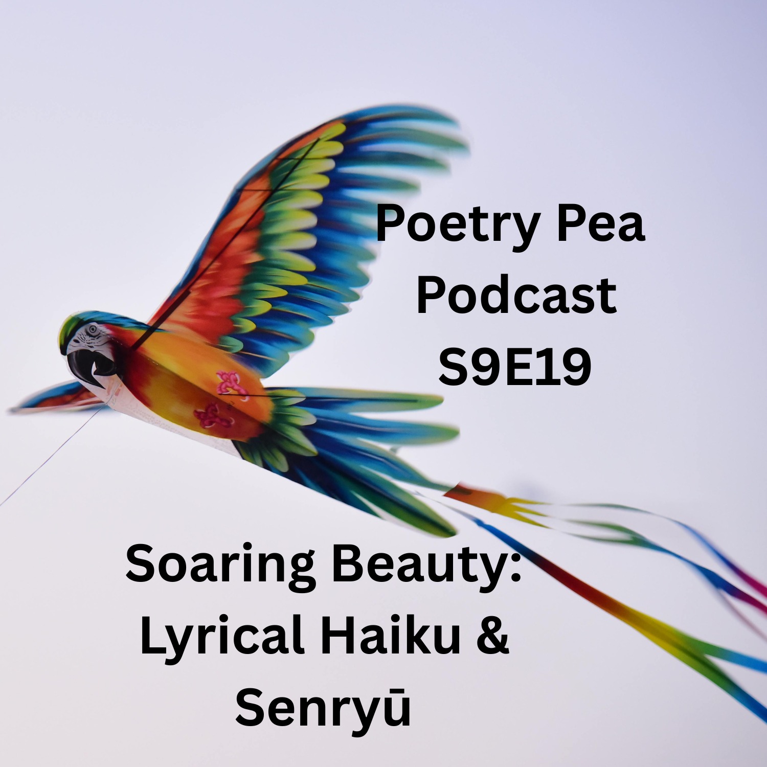 S9E19 Soaring Beauty: Contemporary Lyrical Haiku and Senryu episode artwork
