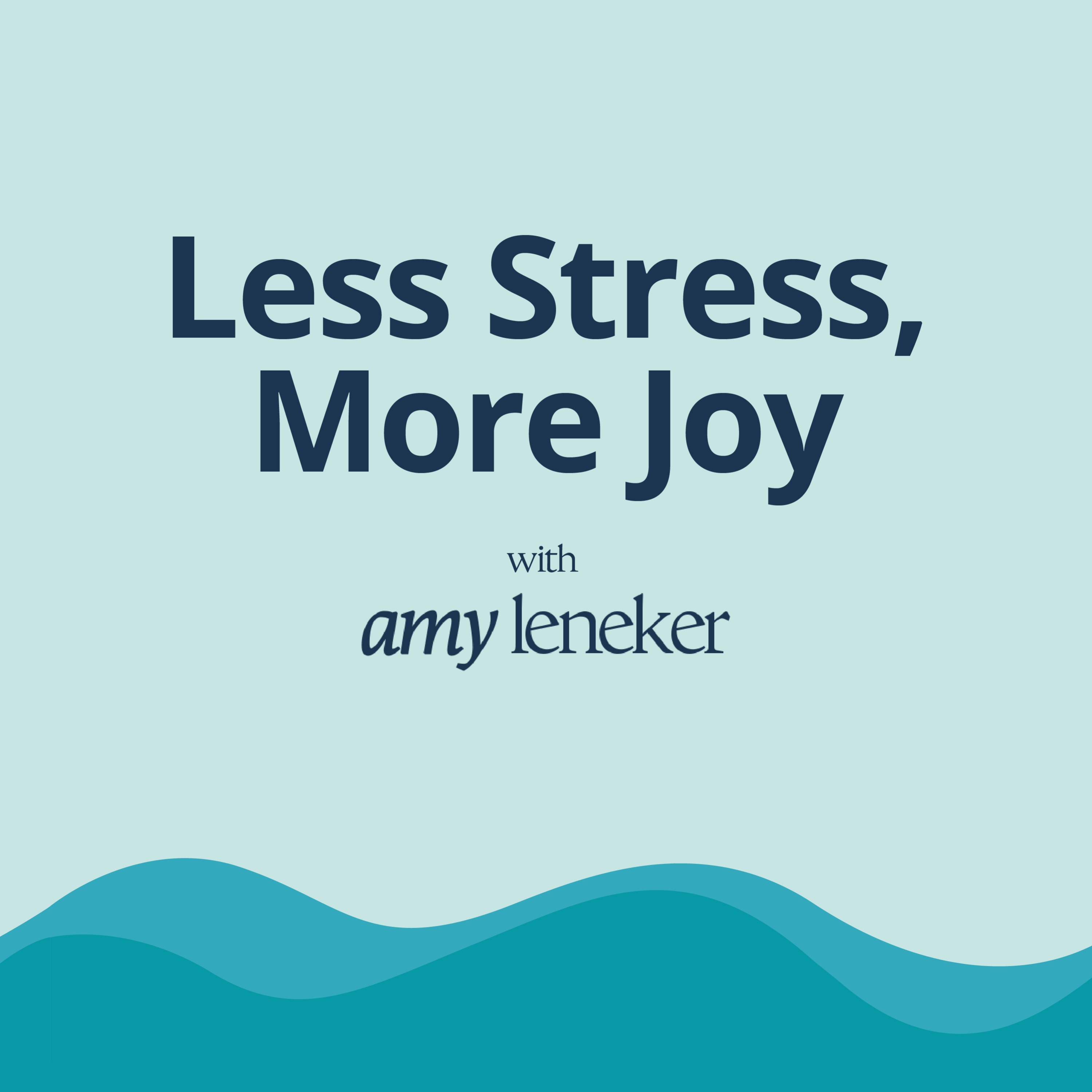 The Unexpected Drivers of Stress and Joy at Work episode artwork