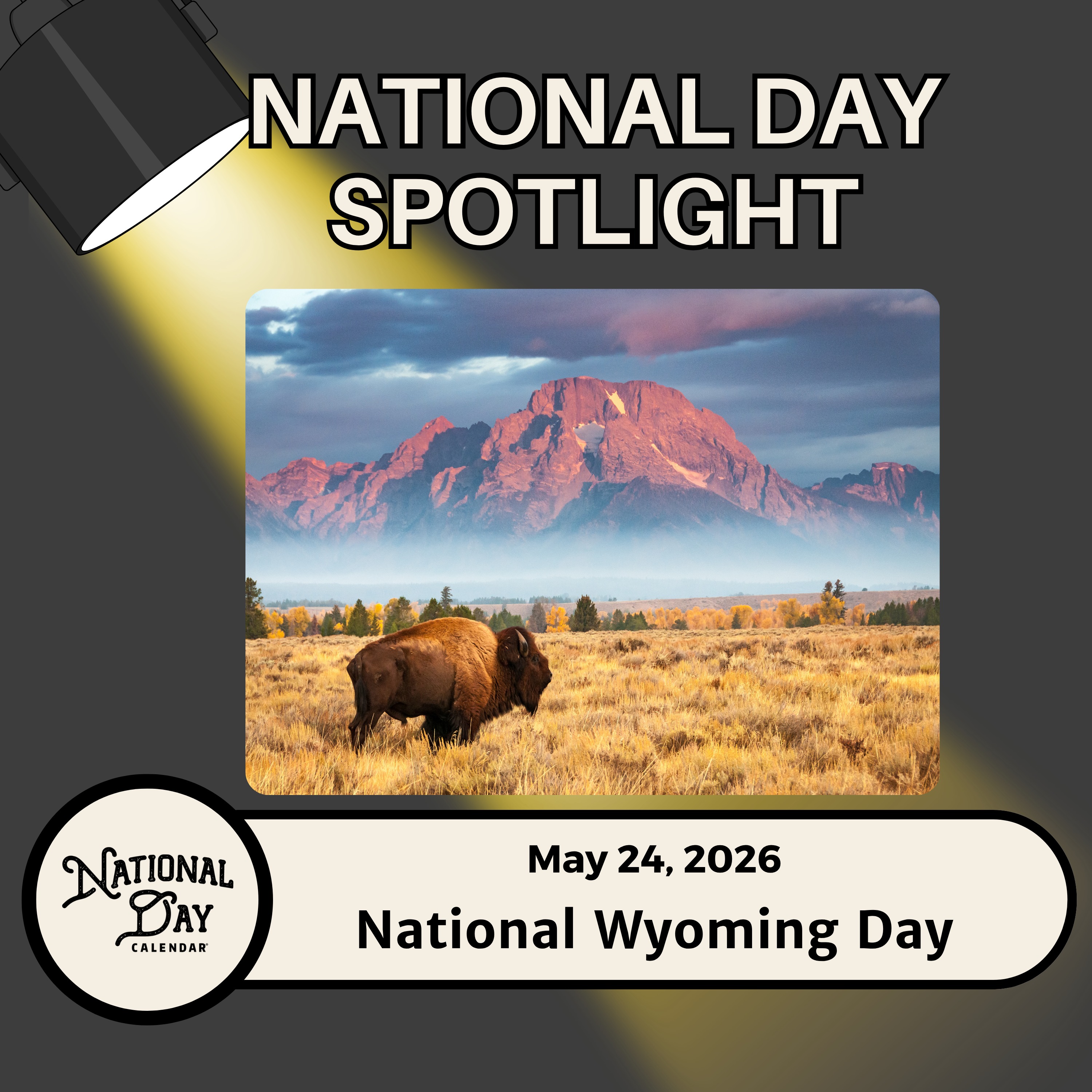 National Wyoming Day