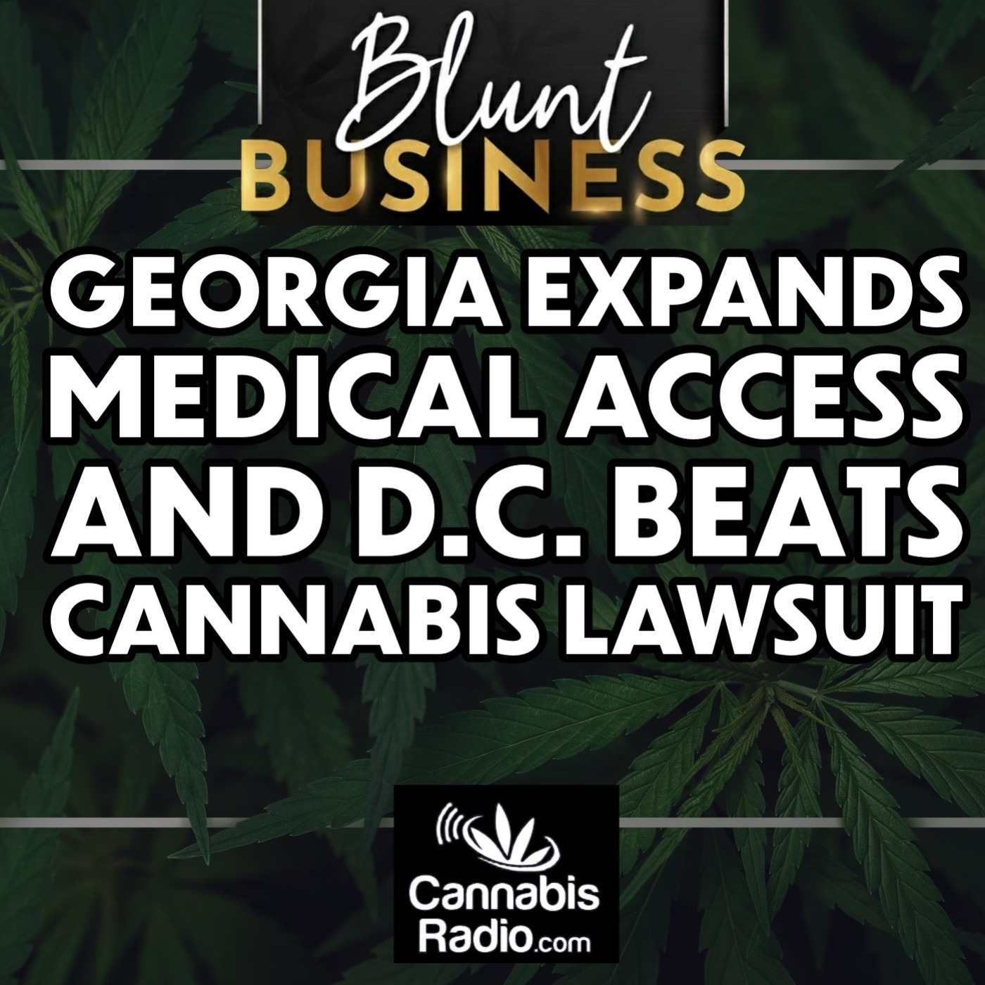 Georgia Expands Medical Access and D.C. Beats Cannabis Lawsuit — Blunt Business cover