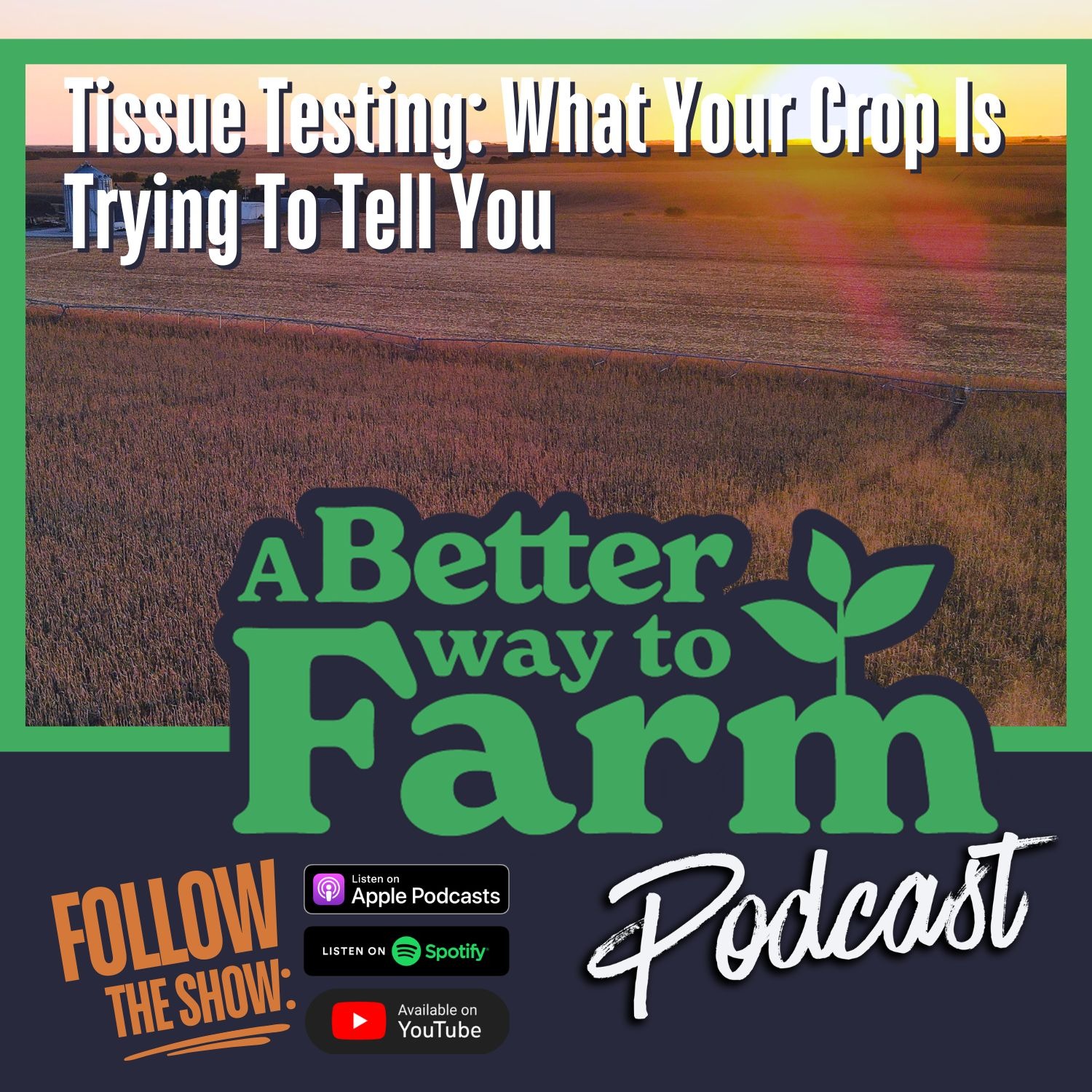 367: Tissue Testing: What Your Crop Is Trying To Tell You