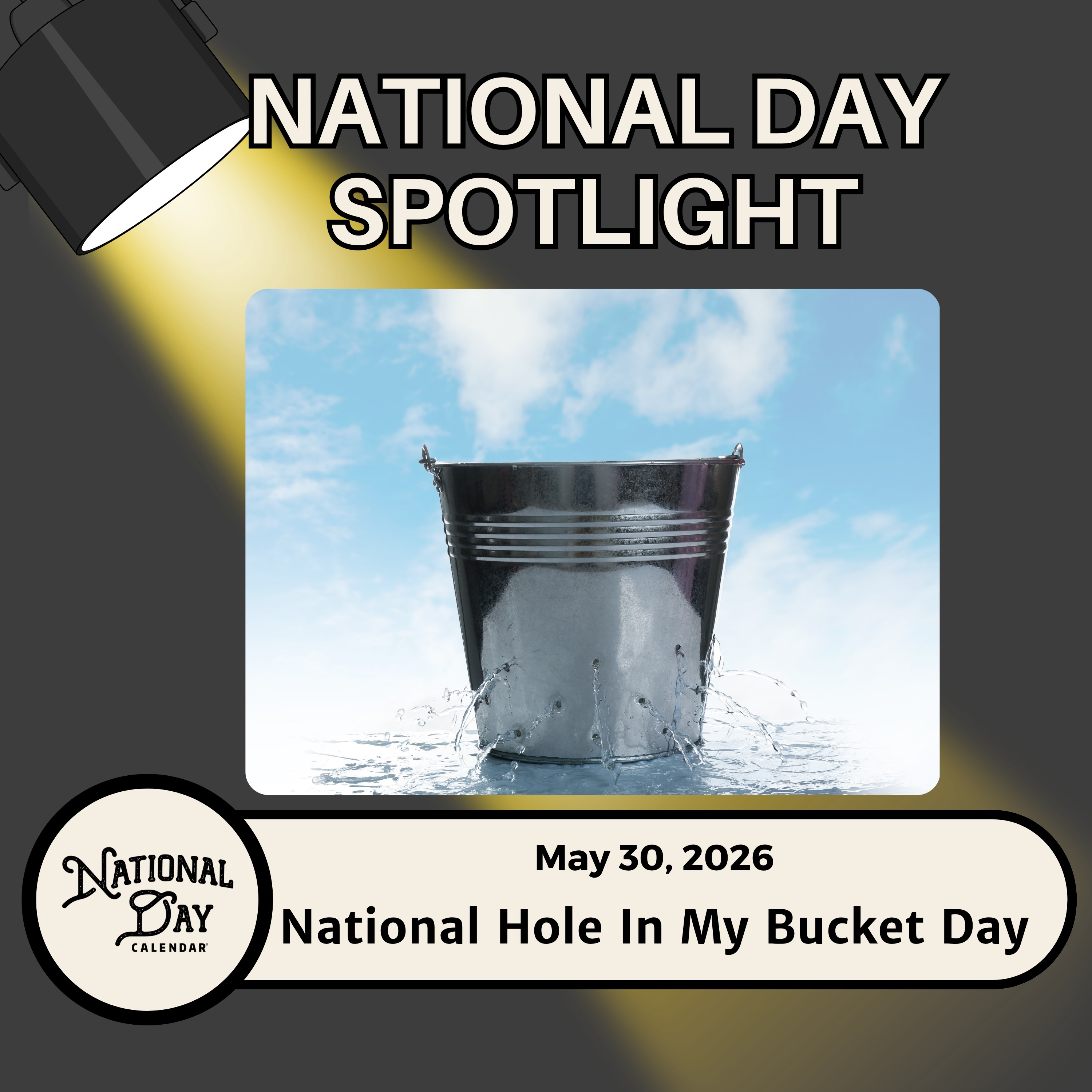National Hole In My Bucket Day