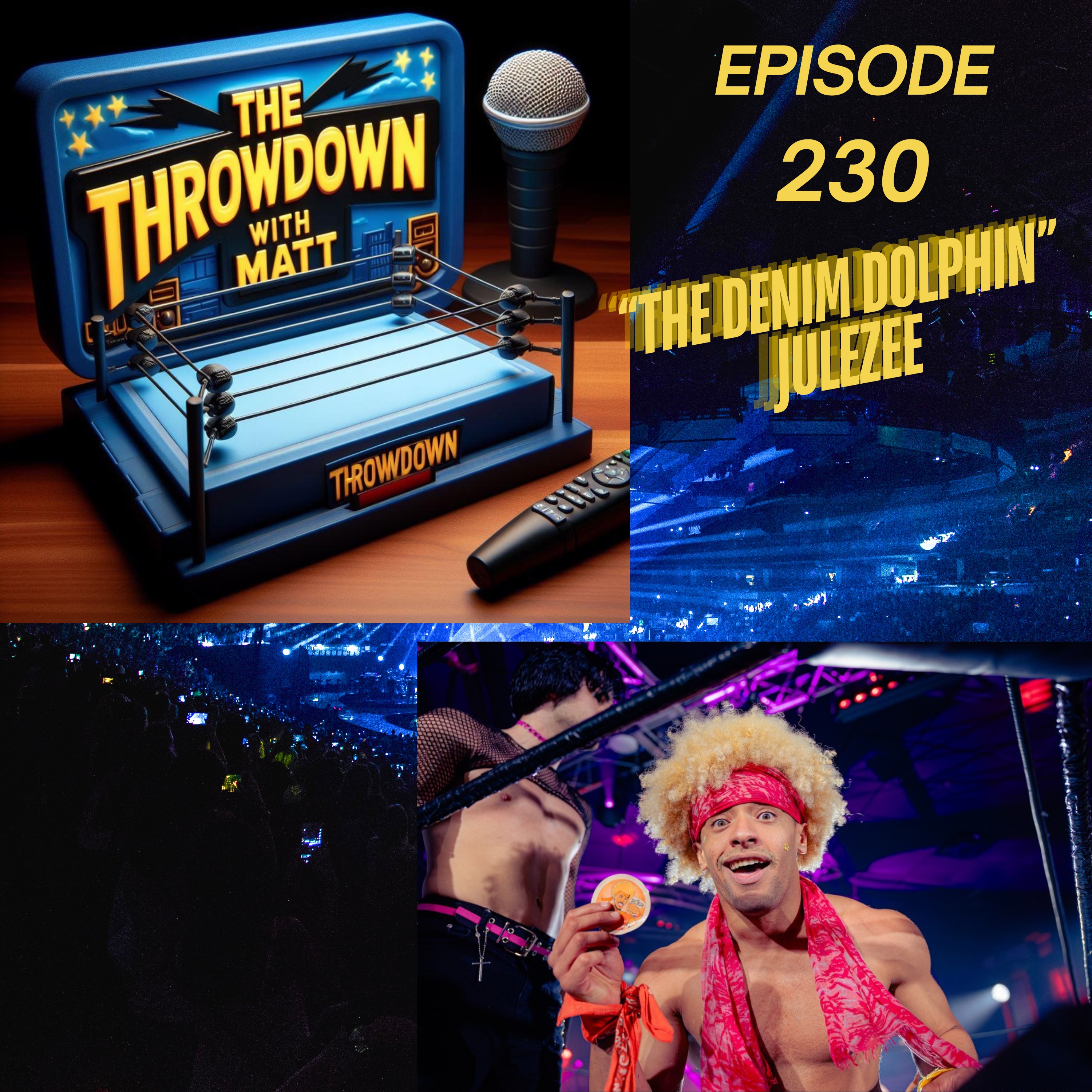The Throwdown Episode 230: "The Denim Dolphin" Julezee episode artwork