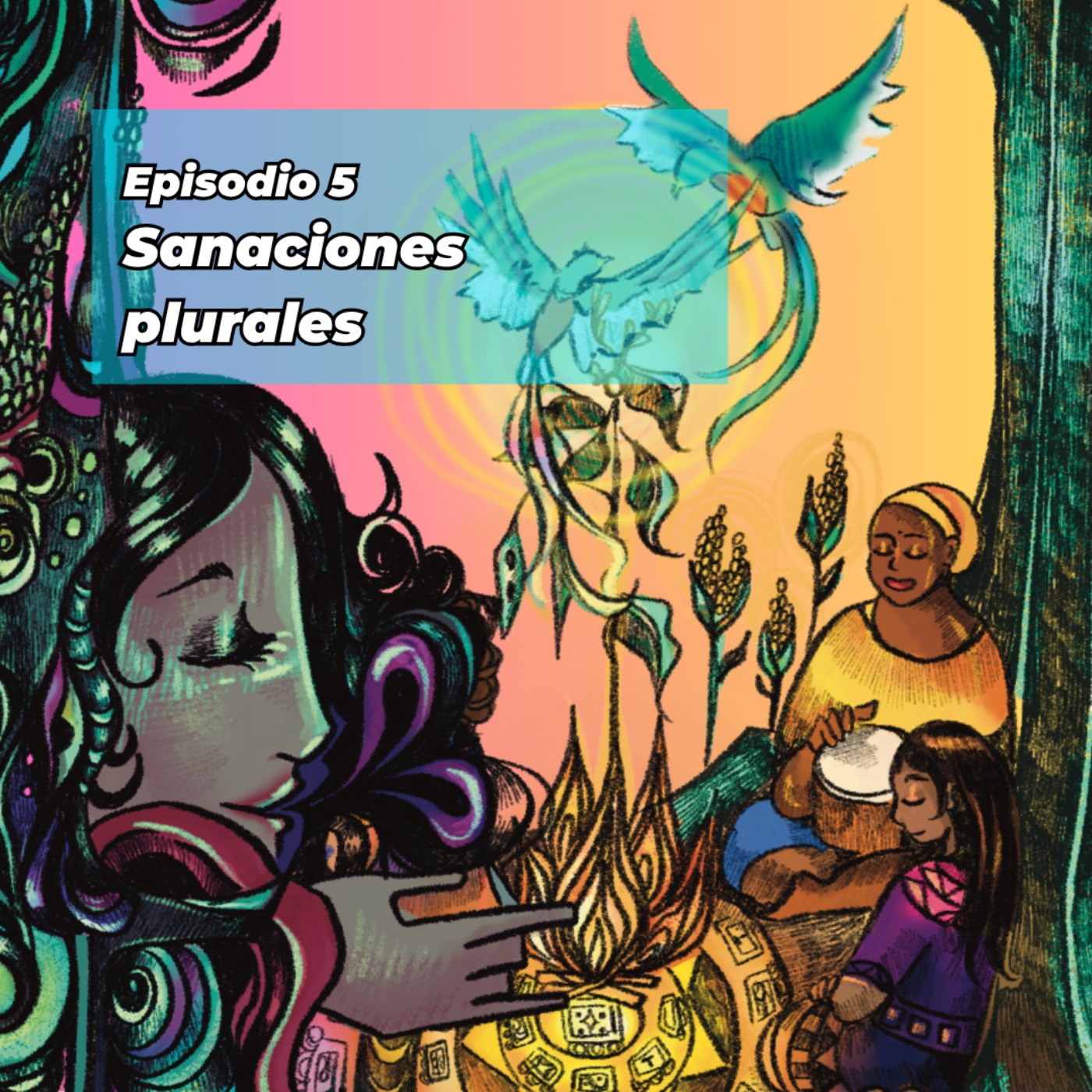 Episodio 5: Sanaciones plurales, integrales y holísticas