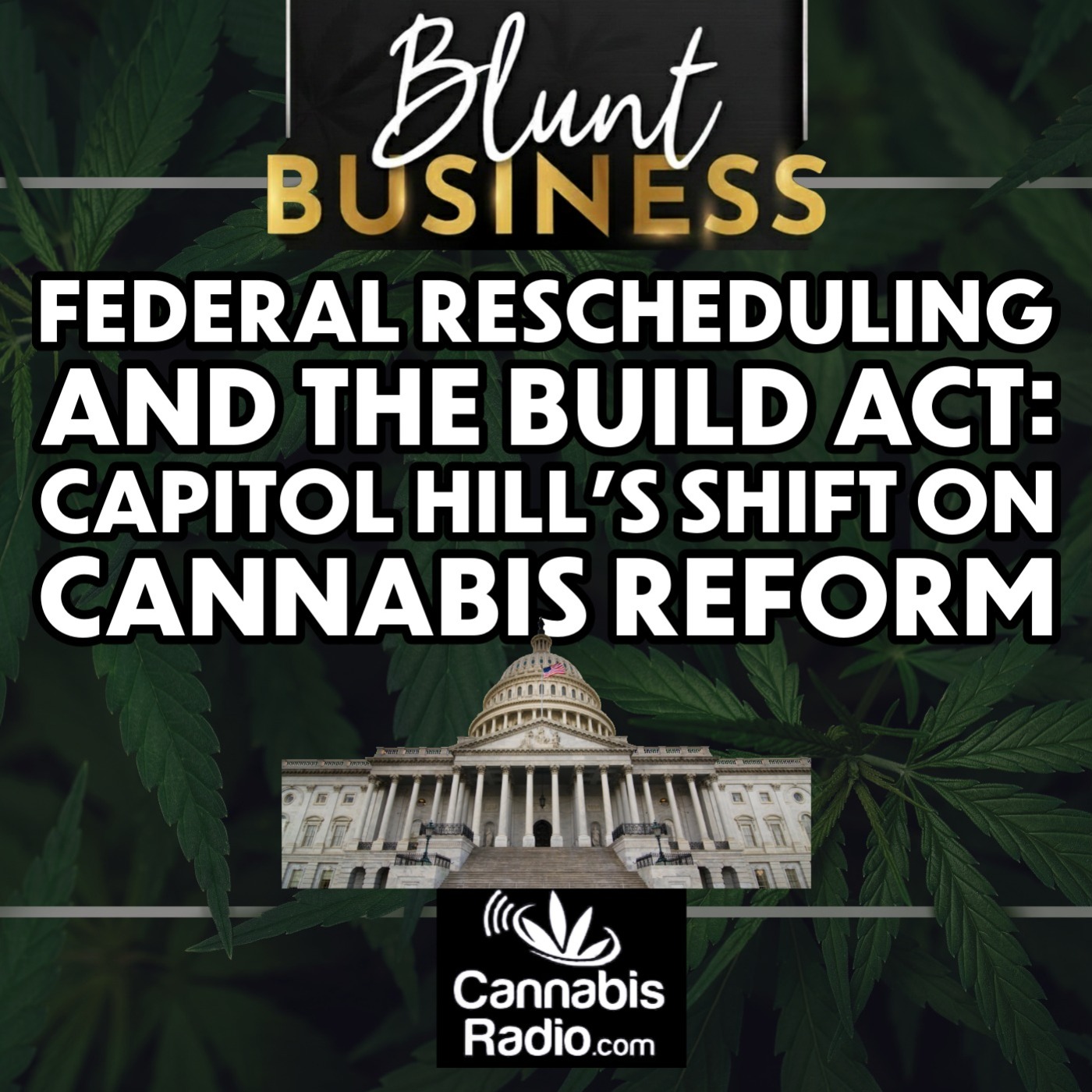 Federal Rescheduling and the BUILD Act: Capitol Hill’s Shift on Cannabis Reform episode artwork